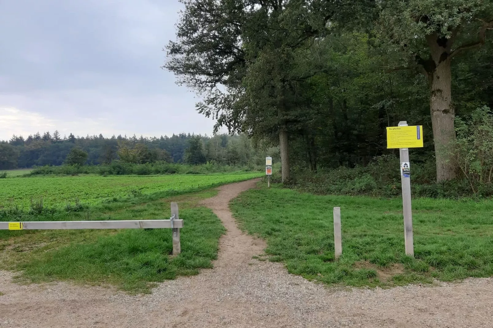 Hettenheuvel Montferland-Gebieden zomer 5km