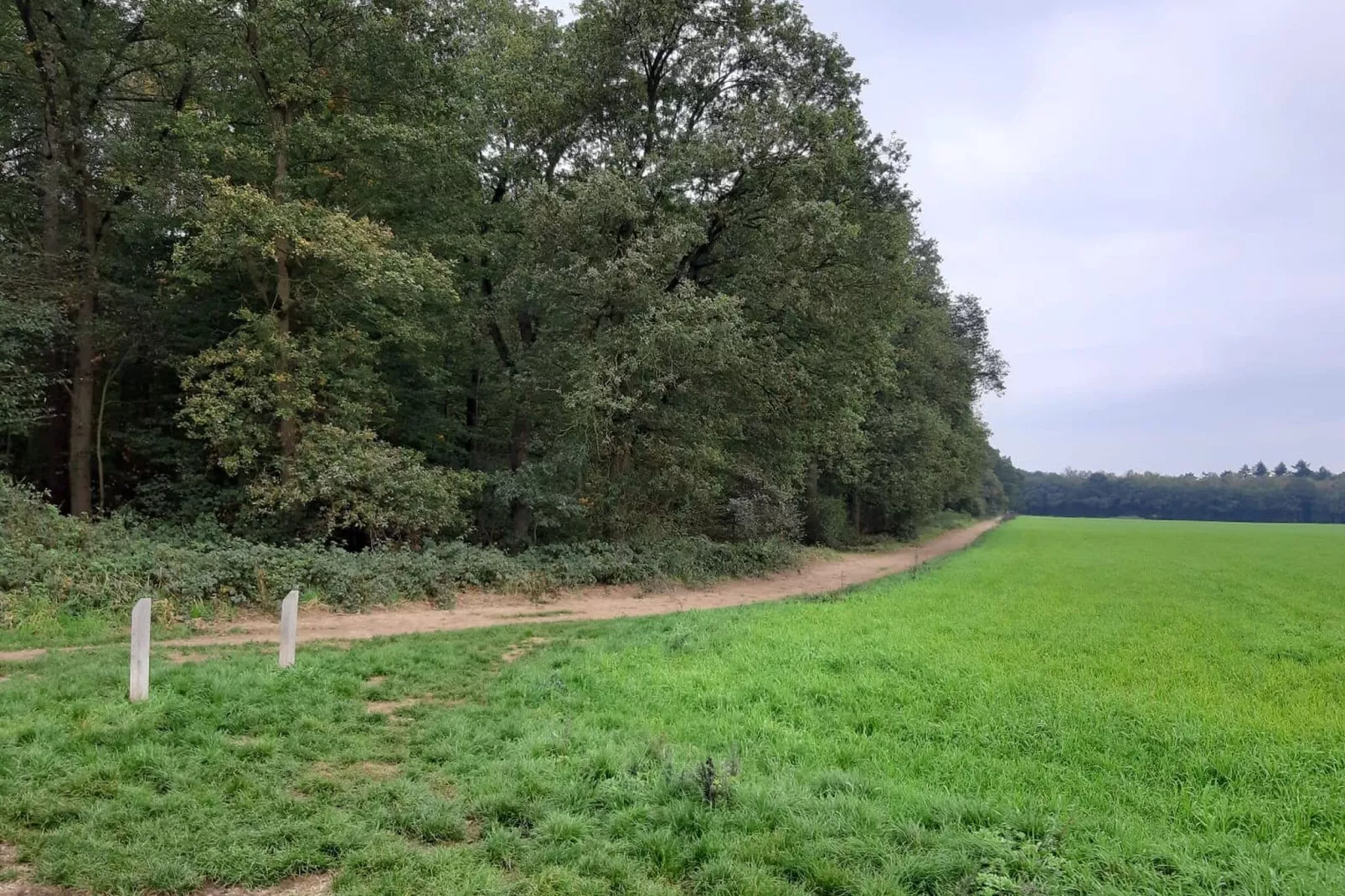 Hettenheuvel Montferland-Gebieden zomer 5km