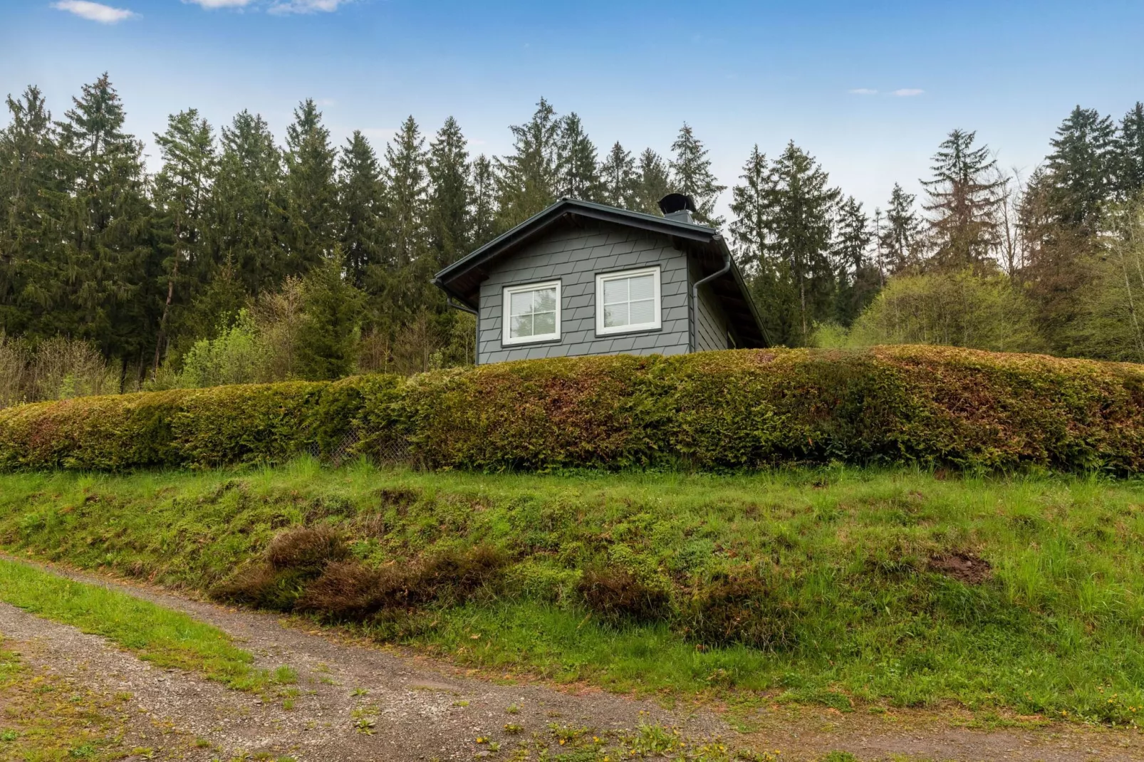 Ferienhaus Steinbach-Hallenberg-Gebieden zomer 1km