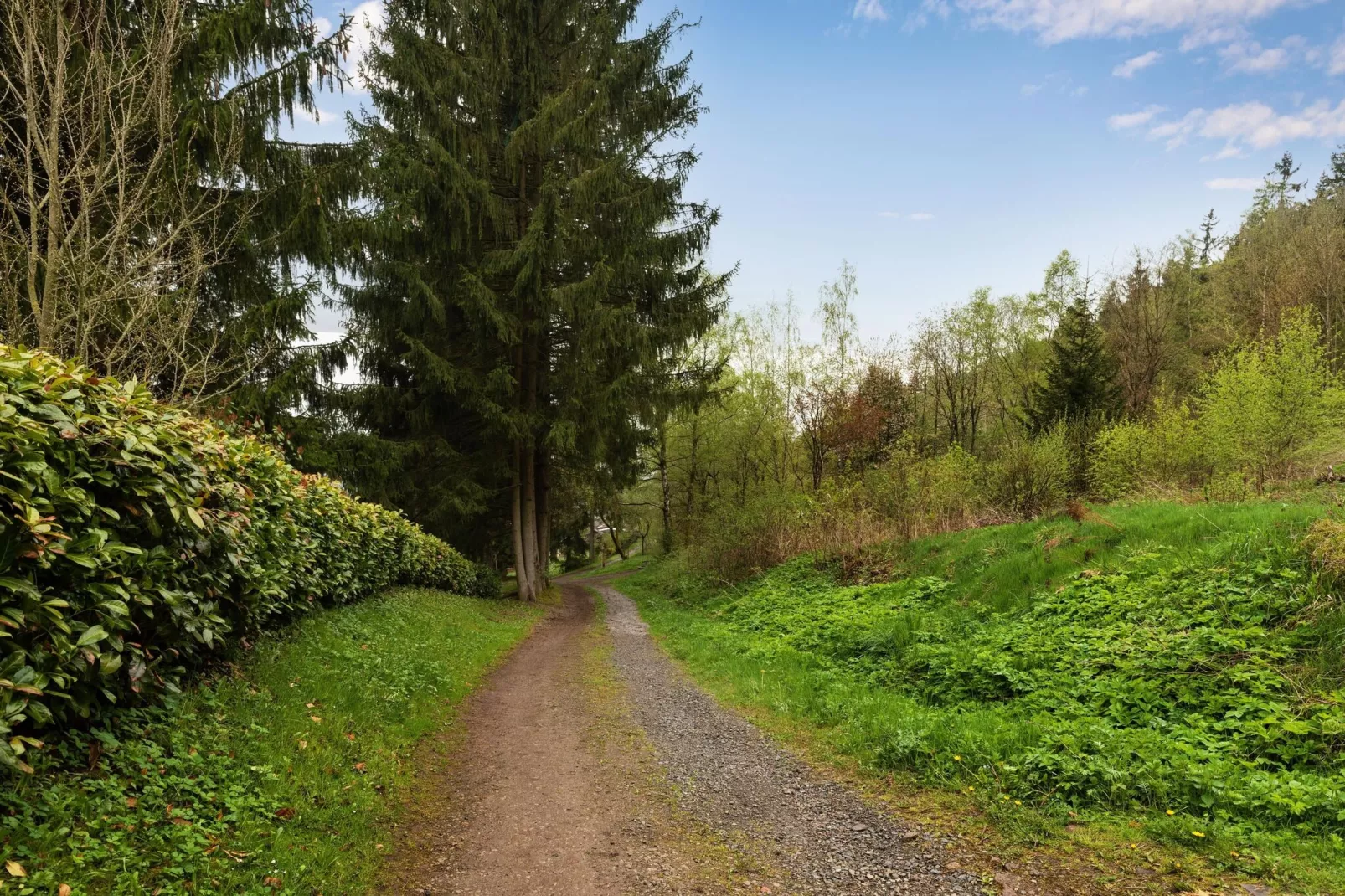 Ferienhaus Steinbach-Hallenberg-Gebieden zomer 1km