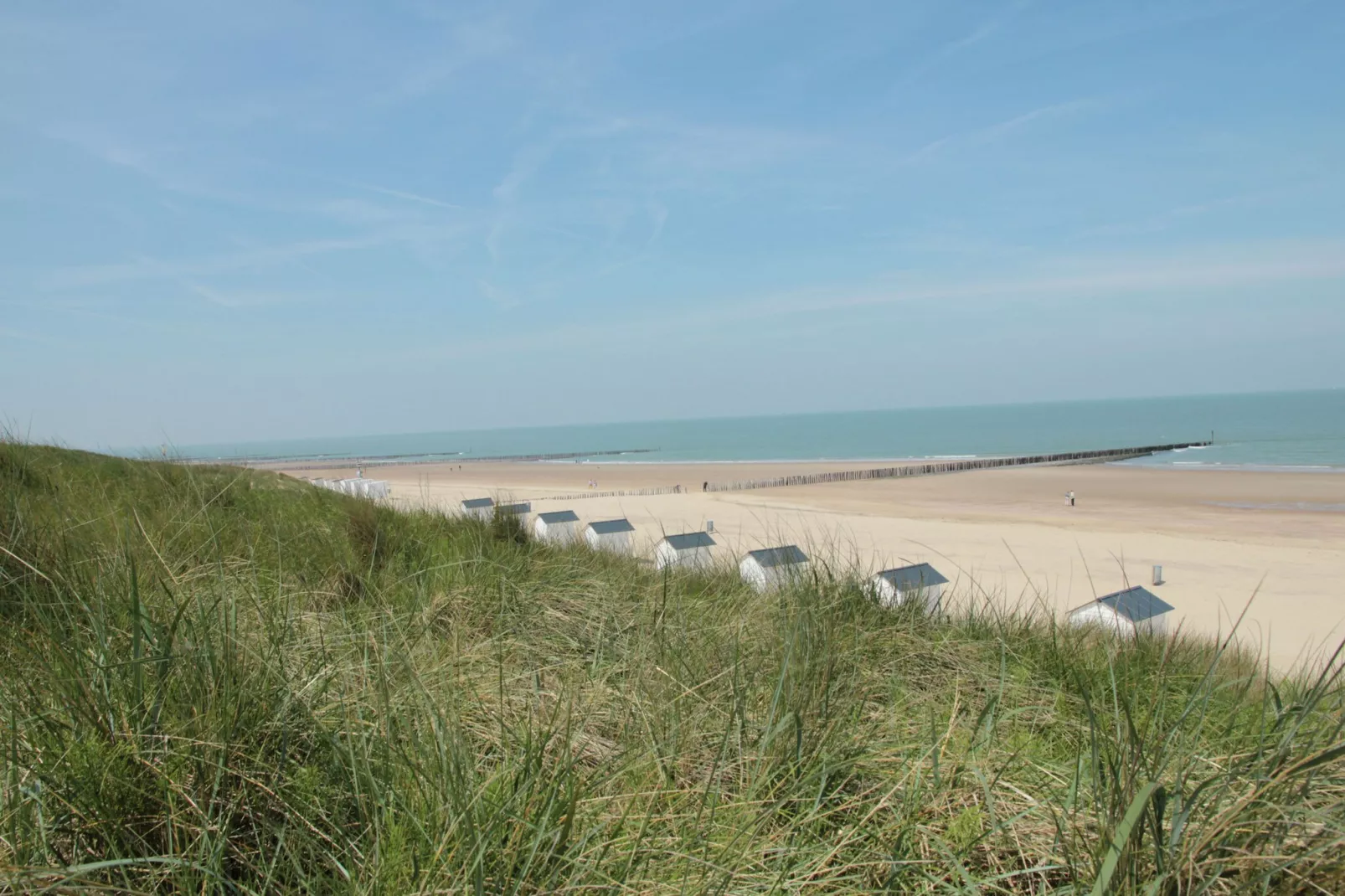 De Biezenknop-Gebieden zomer 20km