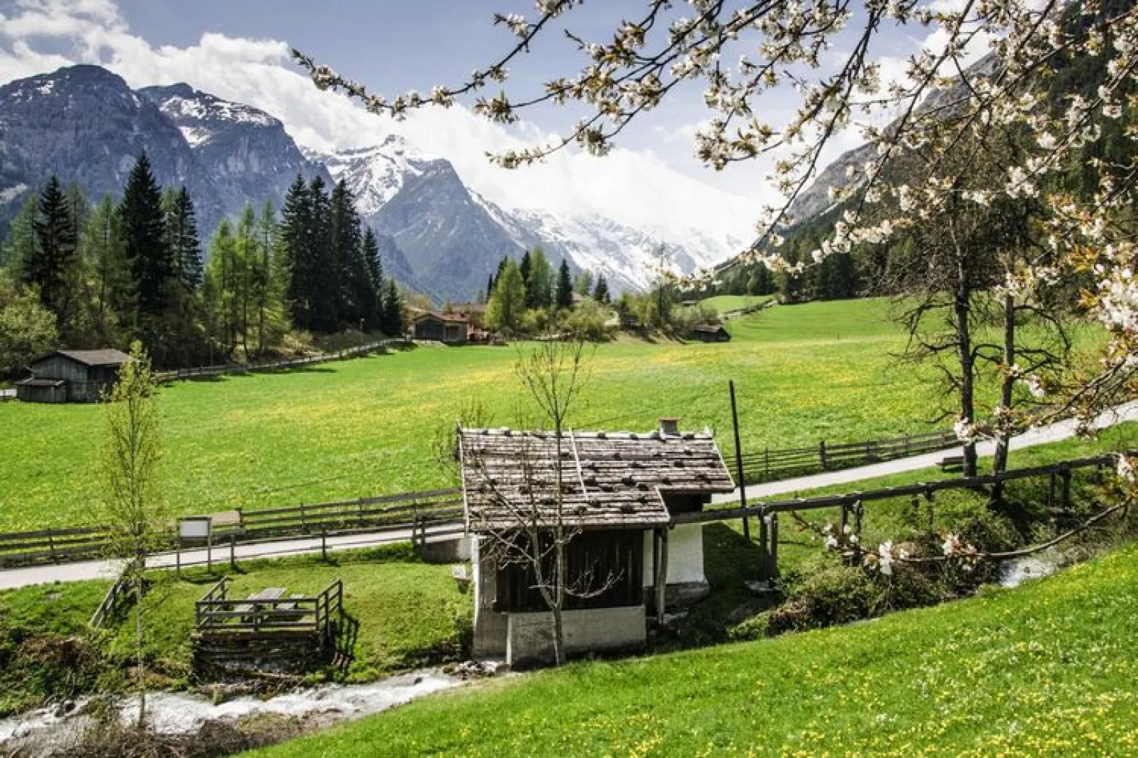 Chalets Bergeralm, Steinach am Brenner-Wellness Chalet XL - 8 Personen-Uitzicht zomer