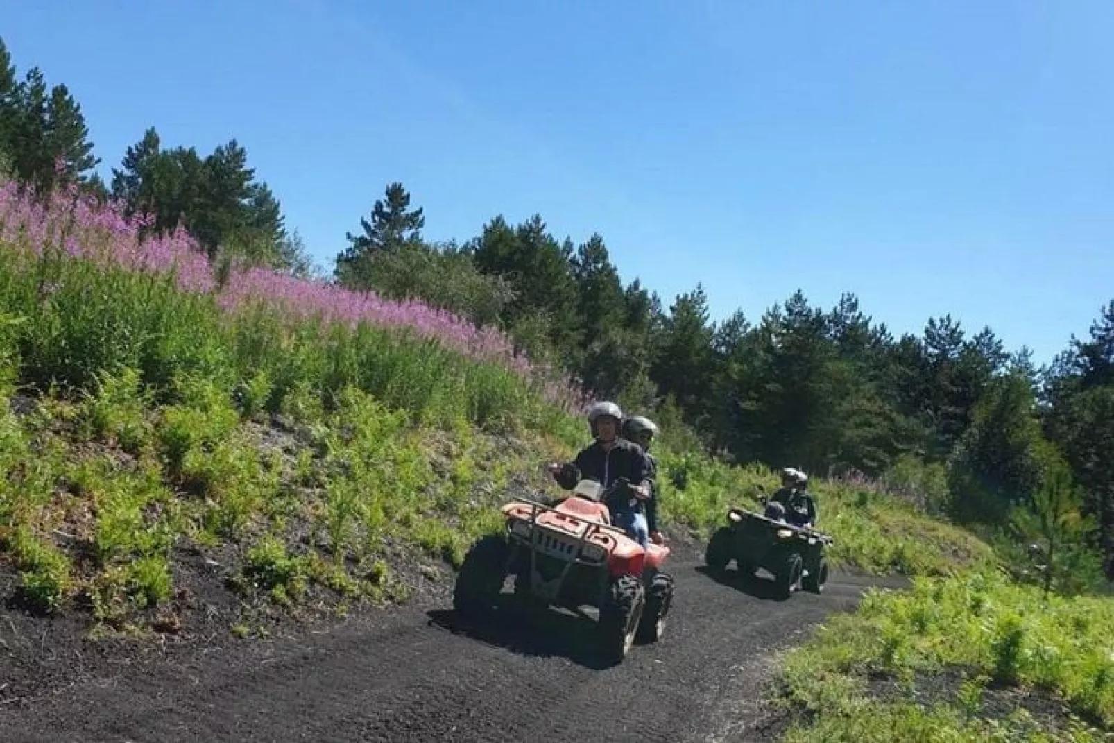 Ferienanlage Tenuta Madonnina-Tuinen zomer