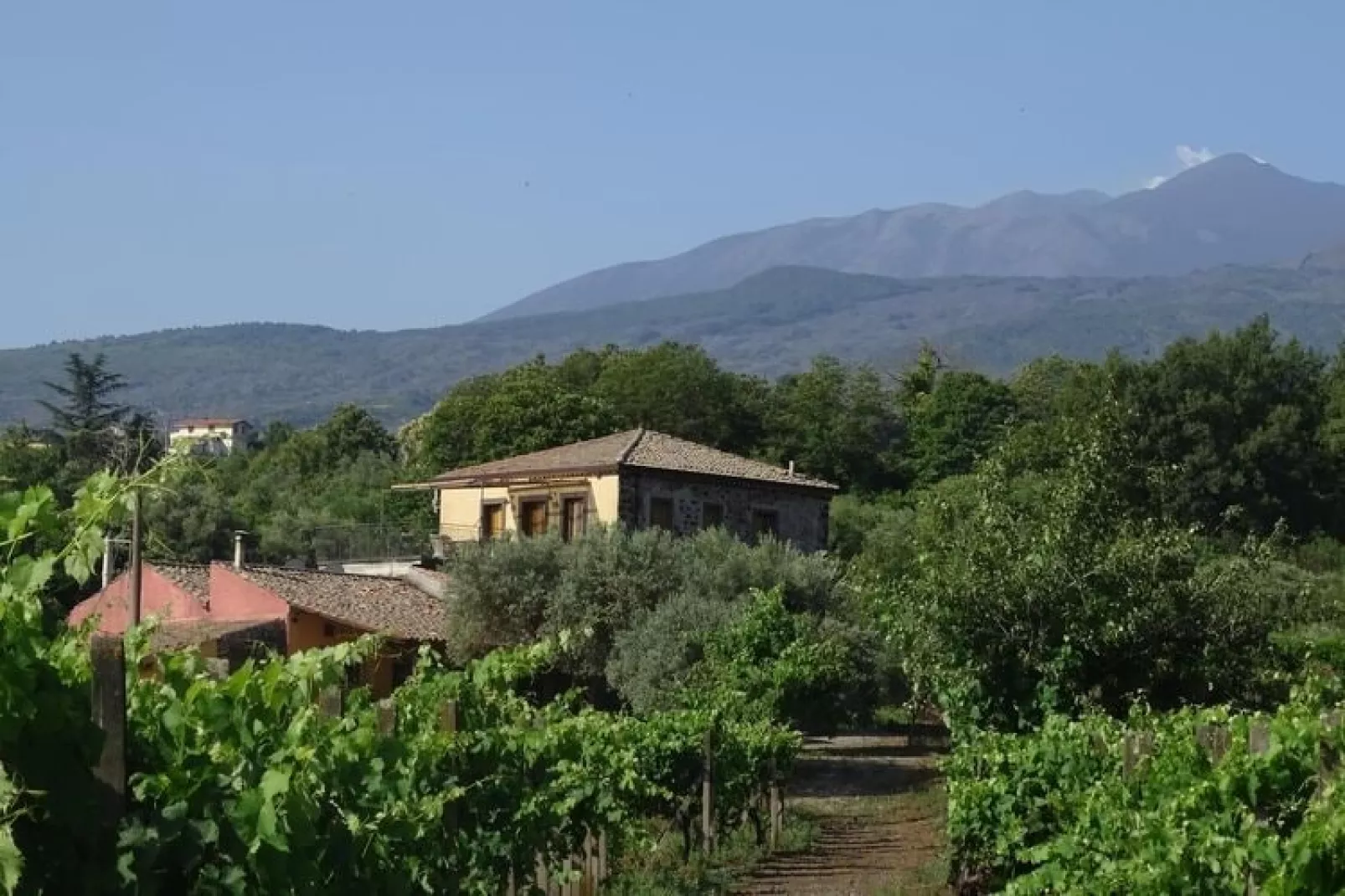 Ferienanlage Tenuta Madonnina-Uitzicht zomer