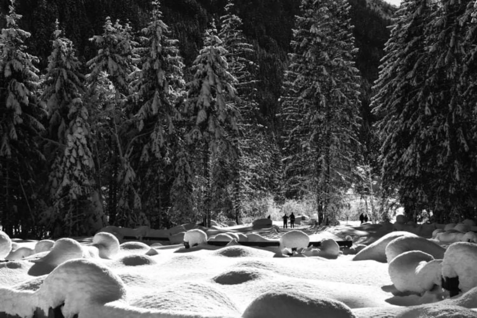 Apartments Gfirig und FeinPenz Andrea, Fulpmes-gfirig-Gebied winter 1km