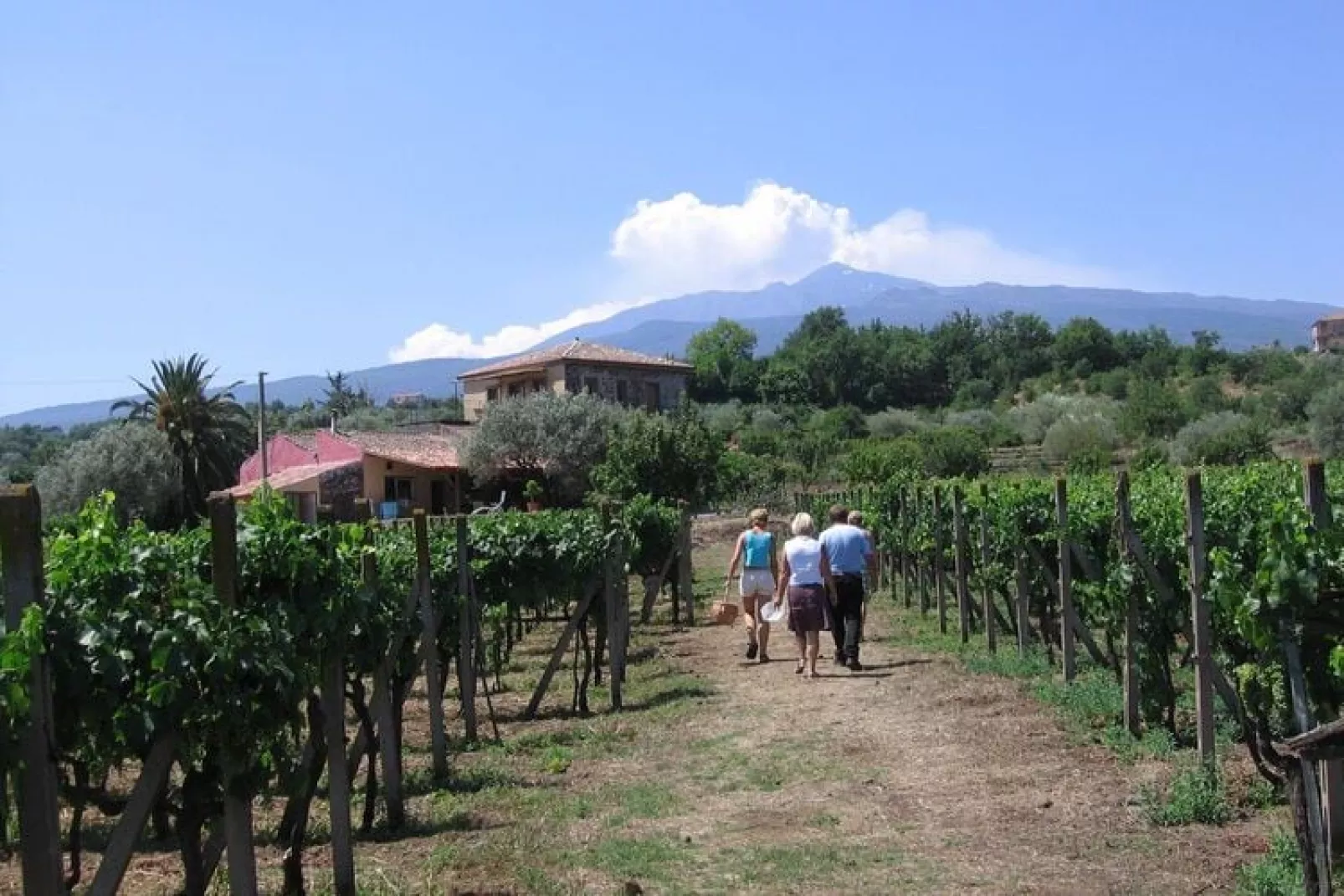 Ferienanlage Castiglione di Sicilia-Uitzicht zomer