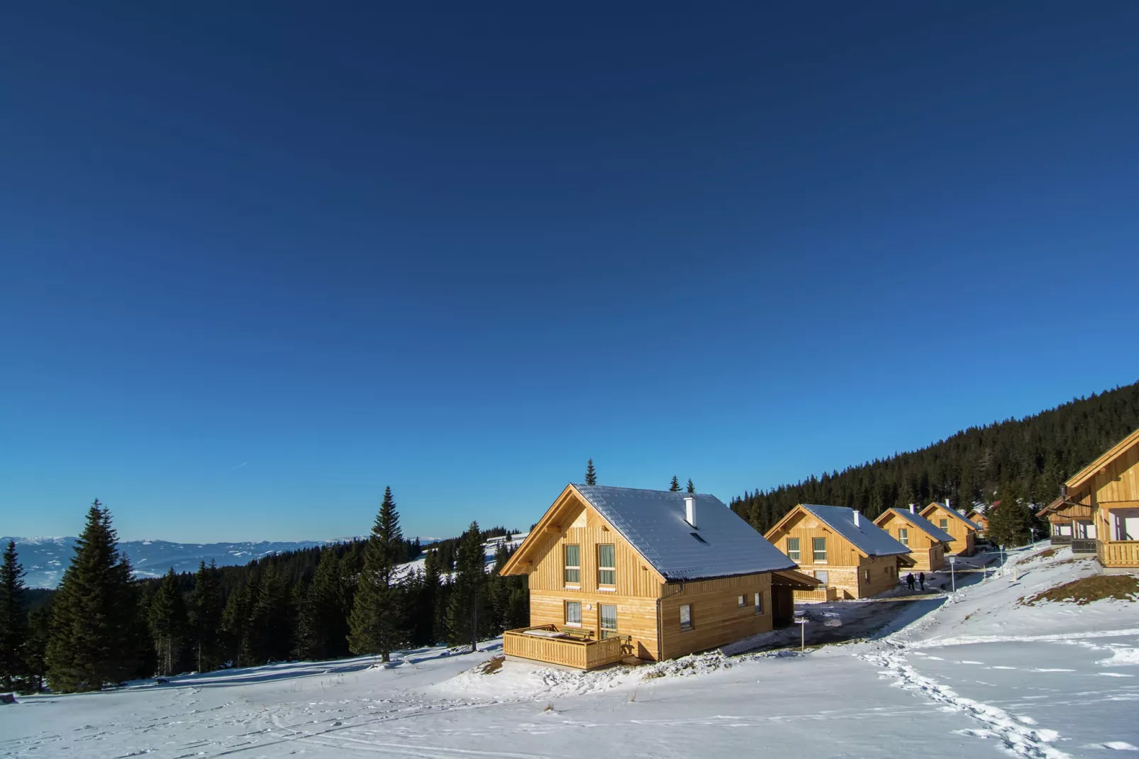 Almdorf Weinebene XL-Exterieur winter