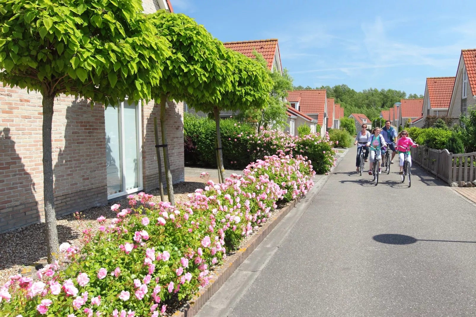 Vakantiepark Zeebad 9-Gebieden zomer 1km