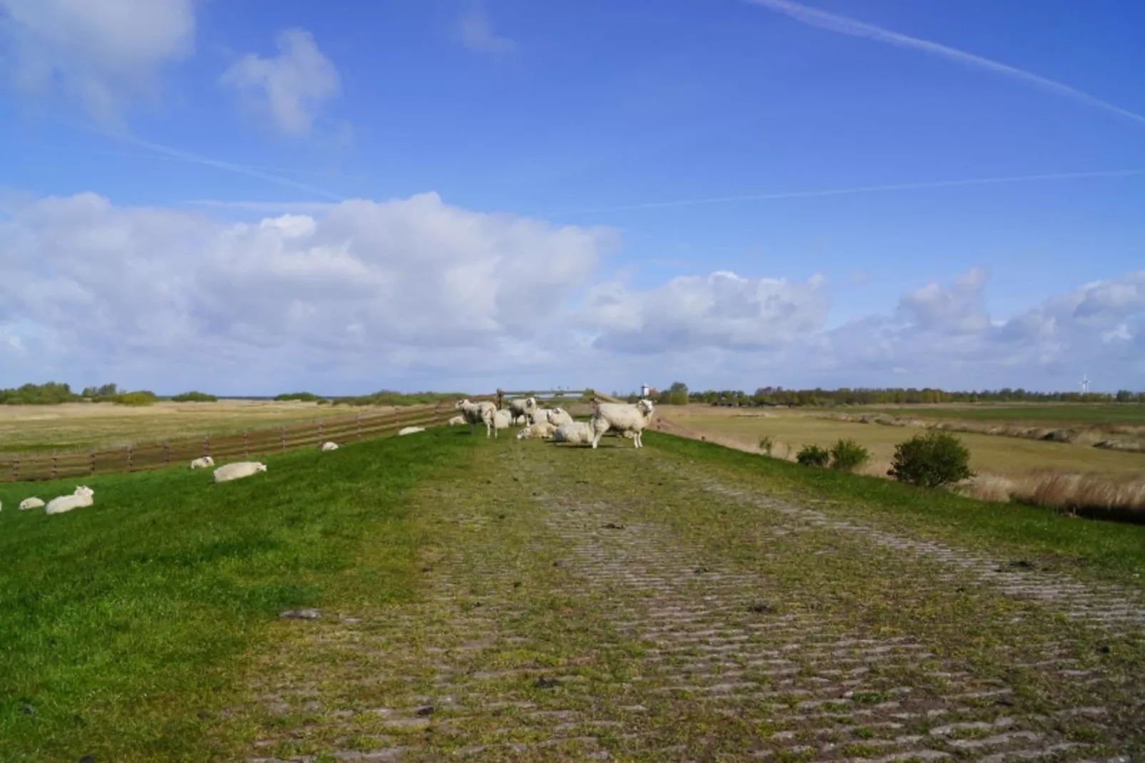 Skippers Inn-Gebieden zomer 1km