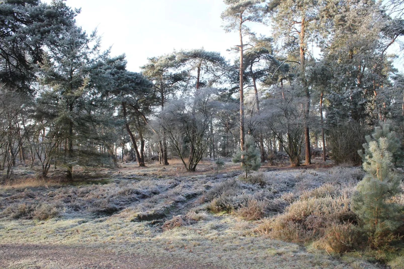 De vroolijke Jager-Gebied winter 5km