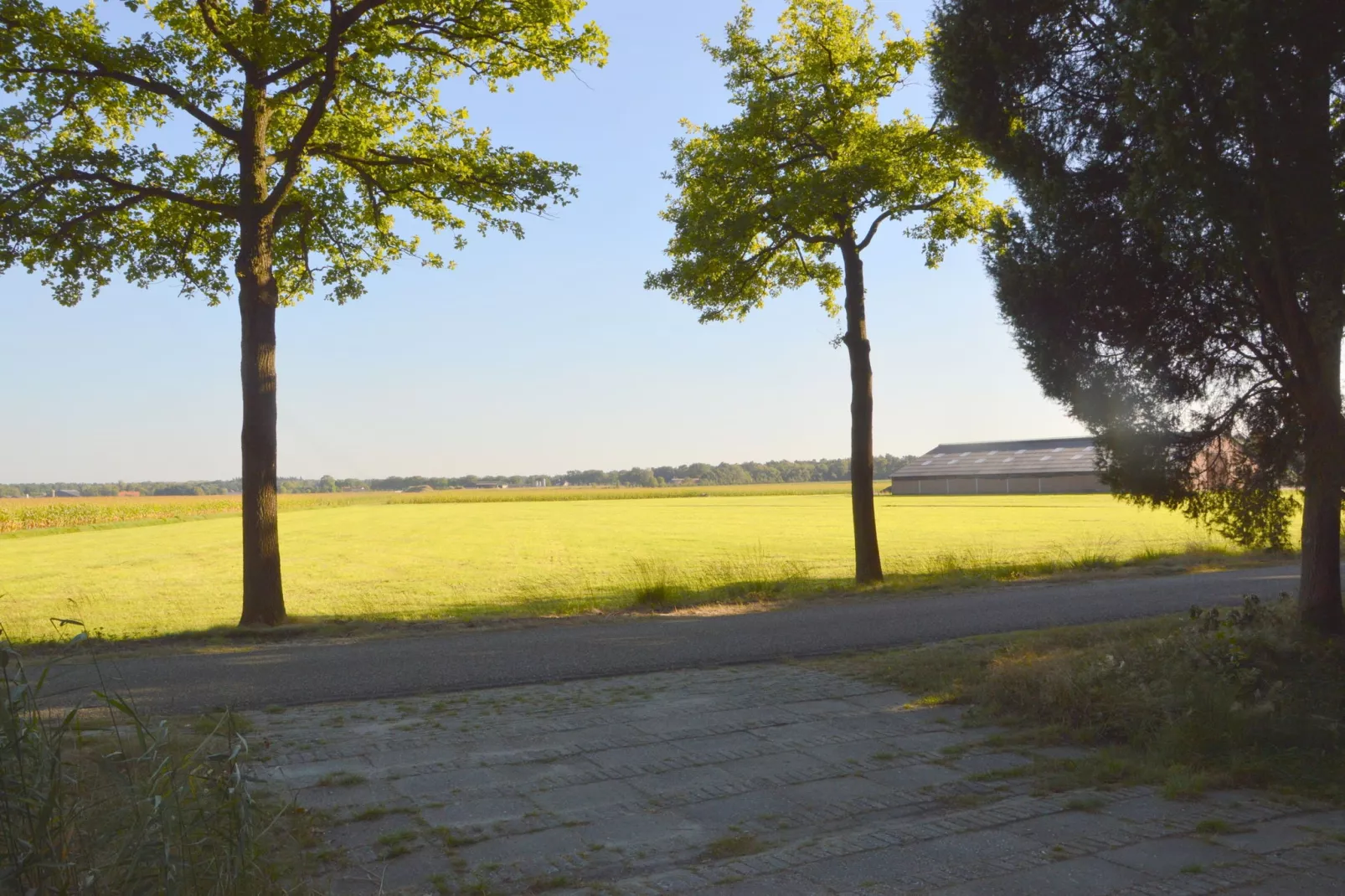 De vroolijke Jager-Uitzicht zomer