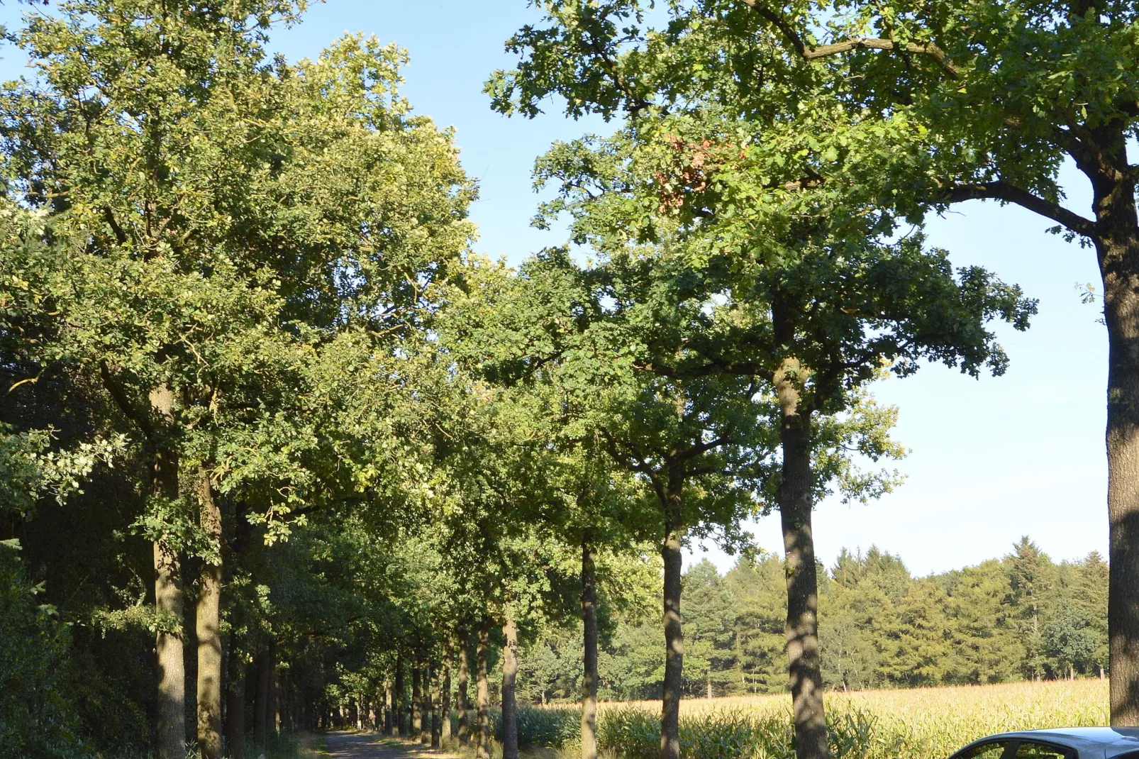 De vroolijke Jager-Gebieden zomer 1km