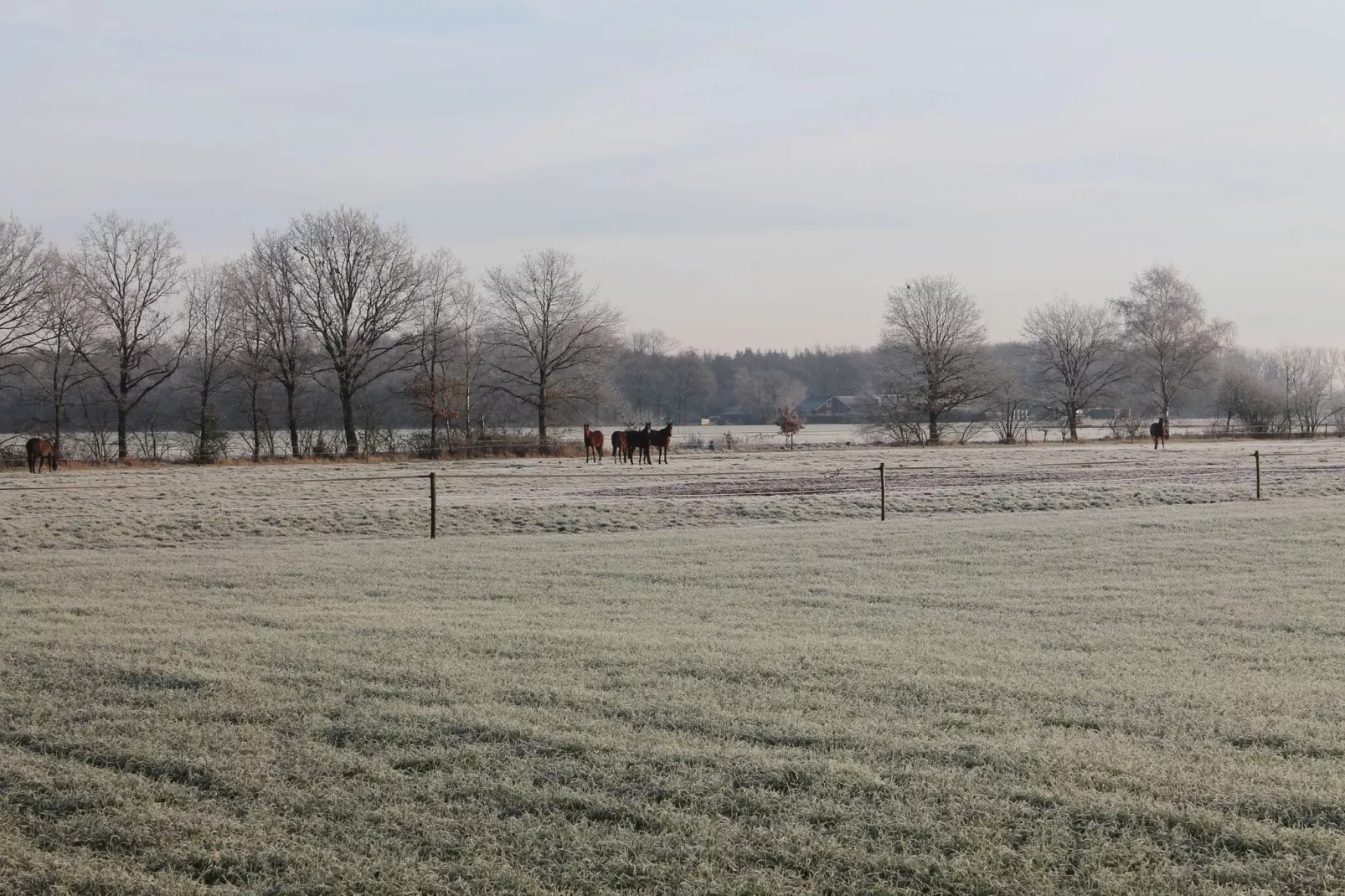 De vroolijke Jager-Gebied winter 1km