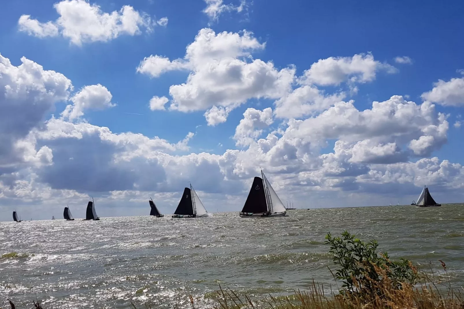 Luna-Gebieden zomer 1km