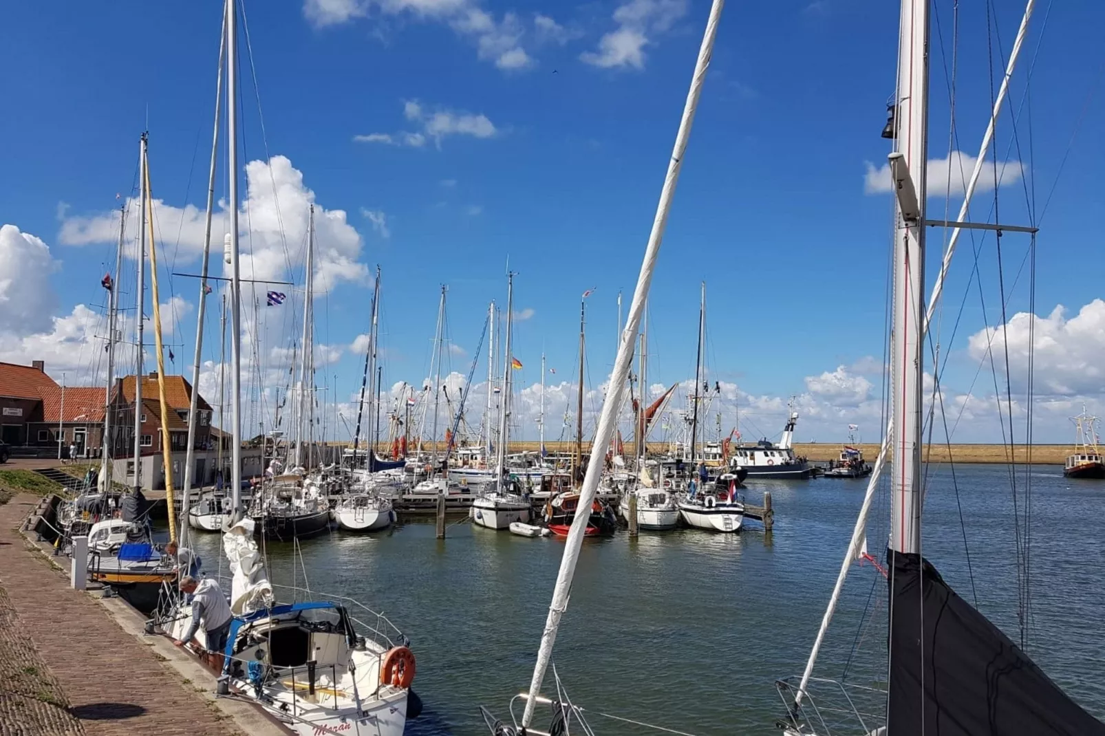 Luna-Gebieden zomer 1km