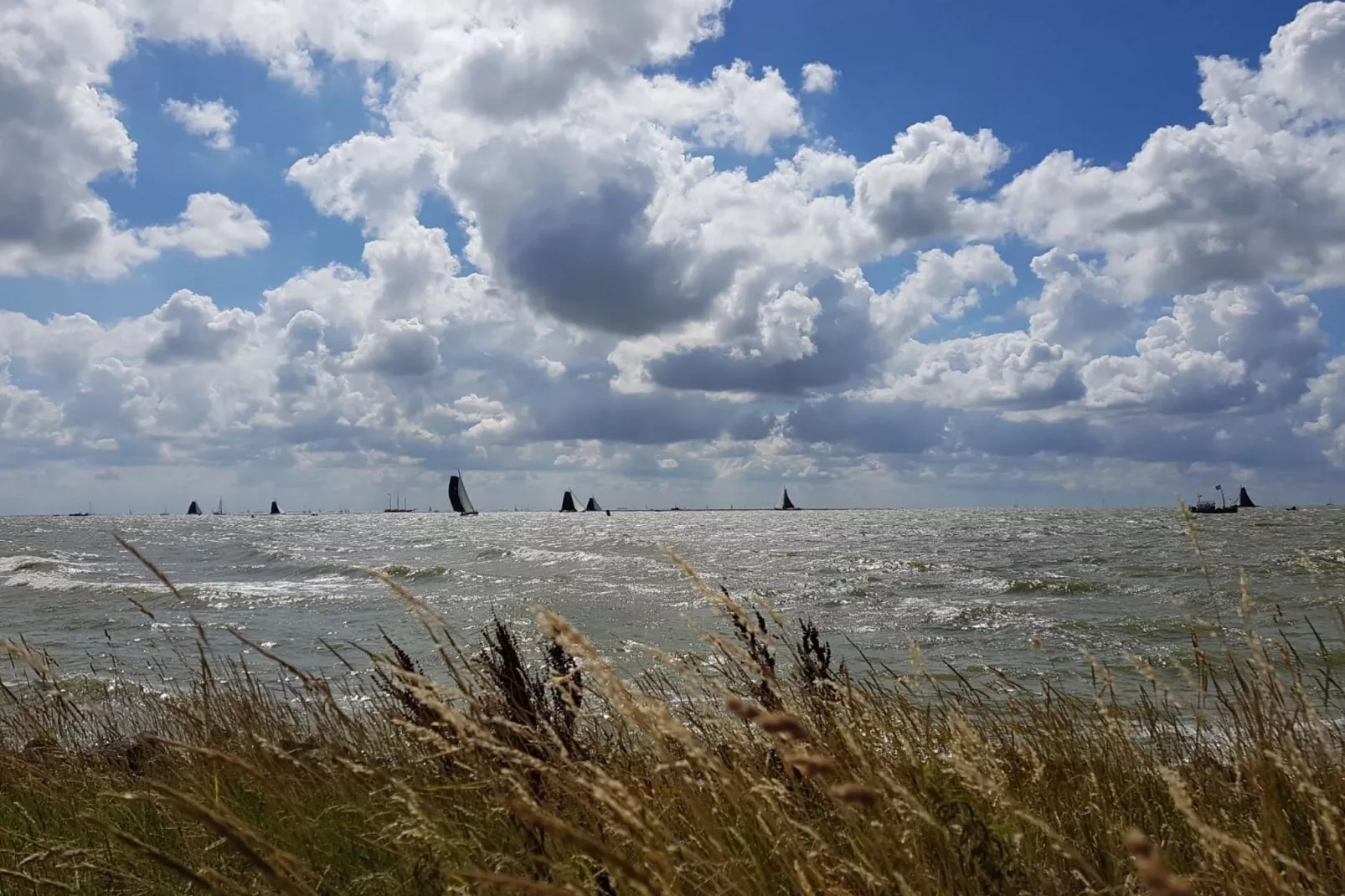 Luna-Gebieden zomer 1km