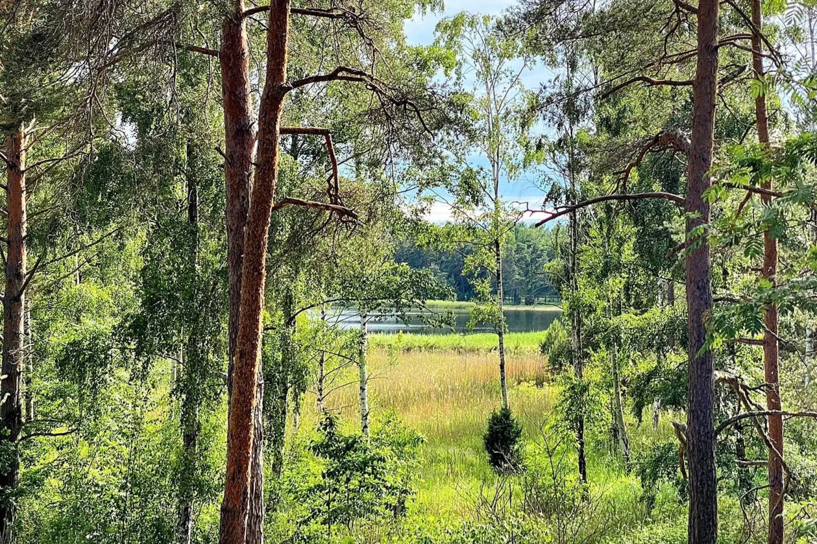 4 persoons vakantie huis in OKNÖ-Buitenlucht