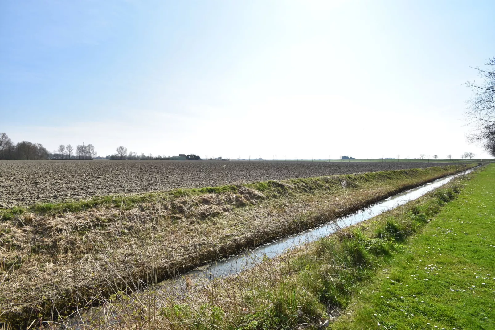 Farmer's View-Uitzicht zomer