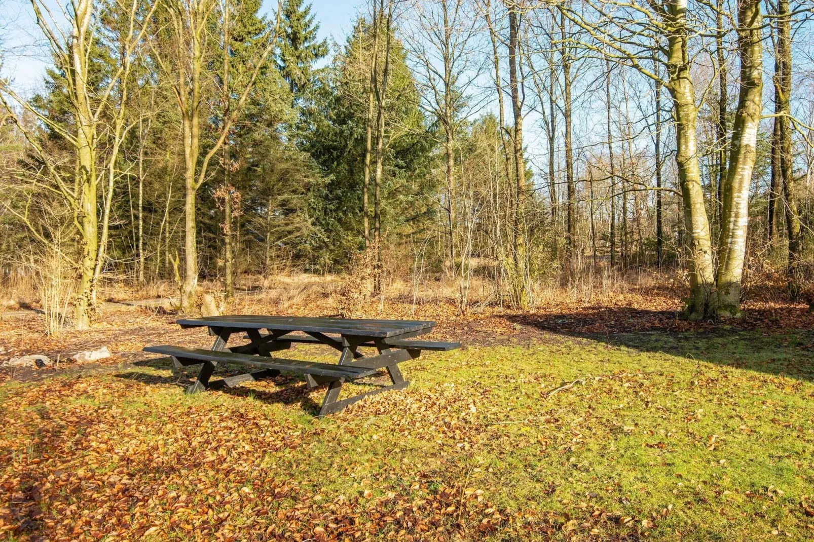 6 persoons vakantie huis in Toftlund-By Traum-Uitzicht