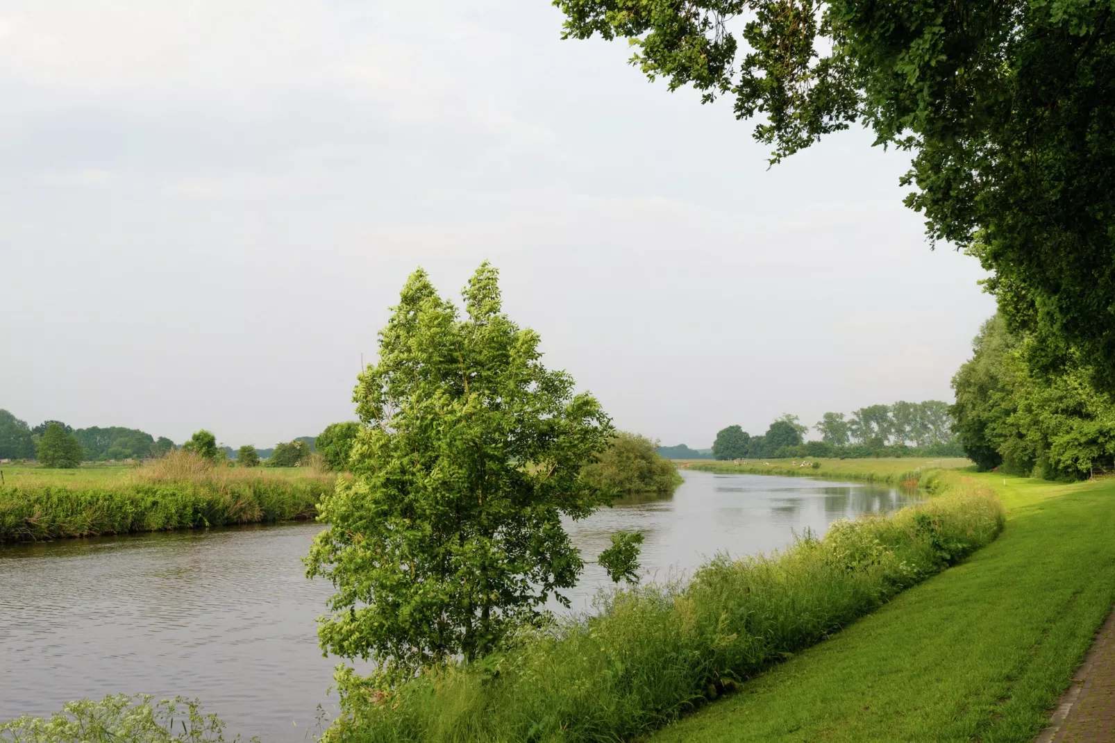 Bunderbos-Gebieden zomer 5km