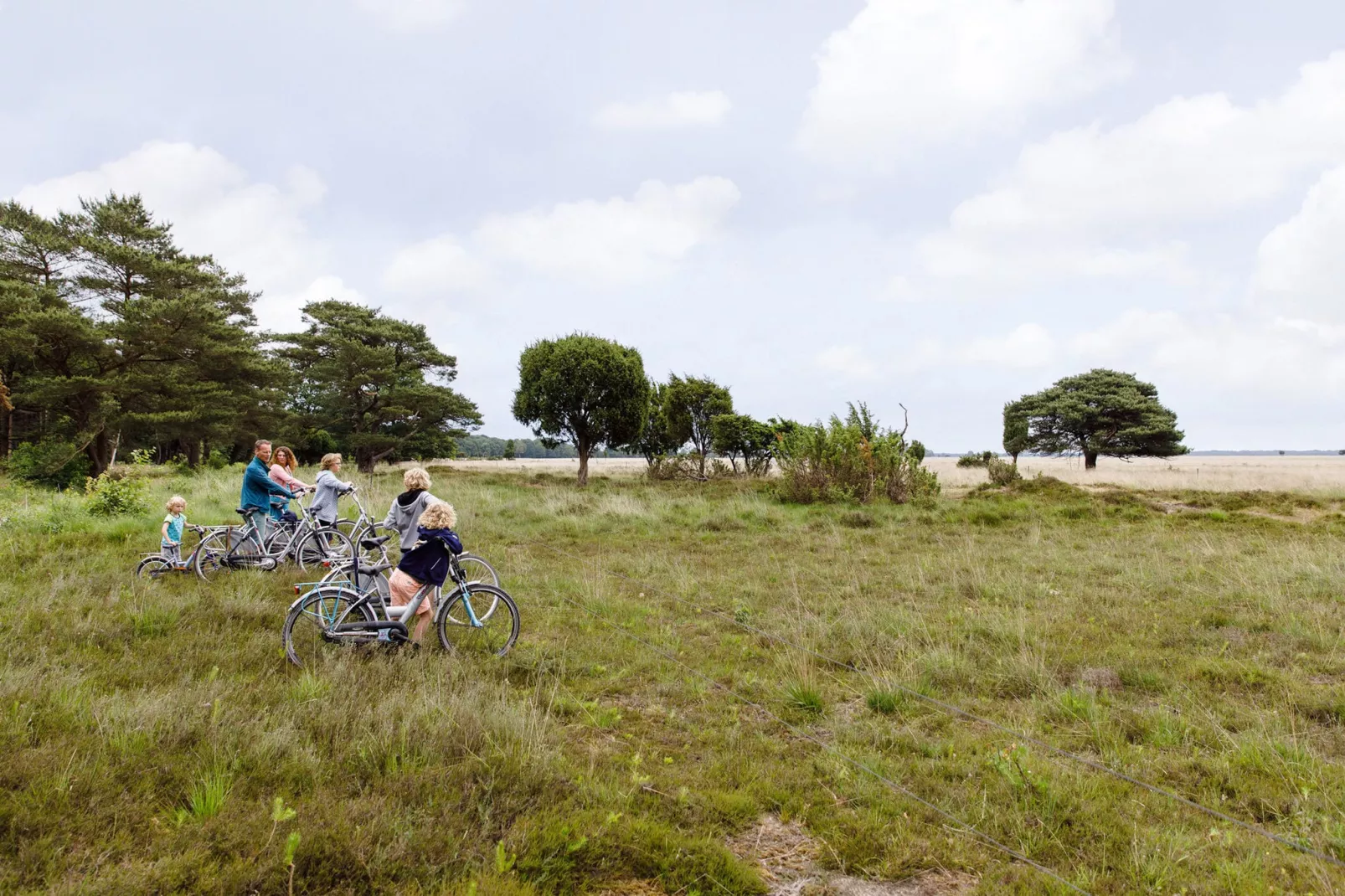 RCN Vakantiepark de Noordster 4-Gebieden zomer 20km