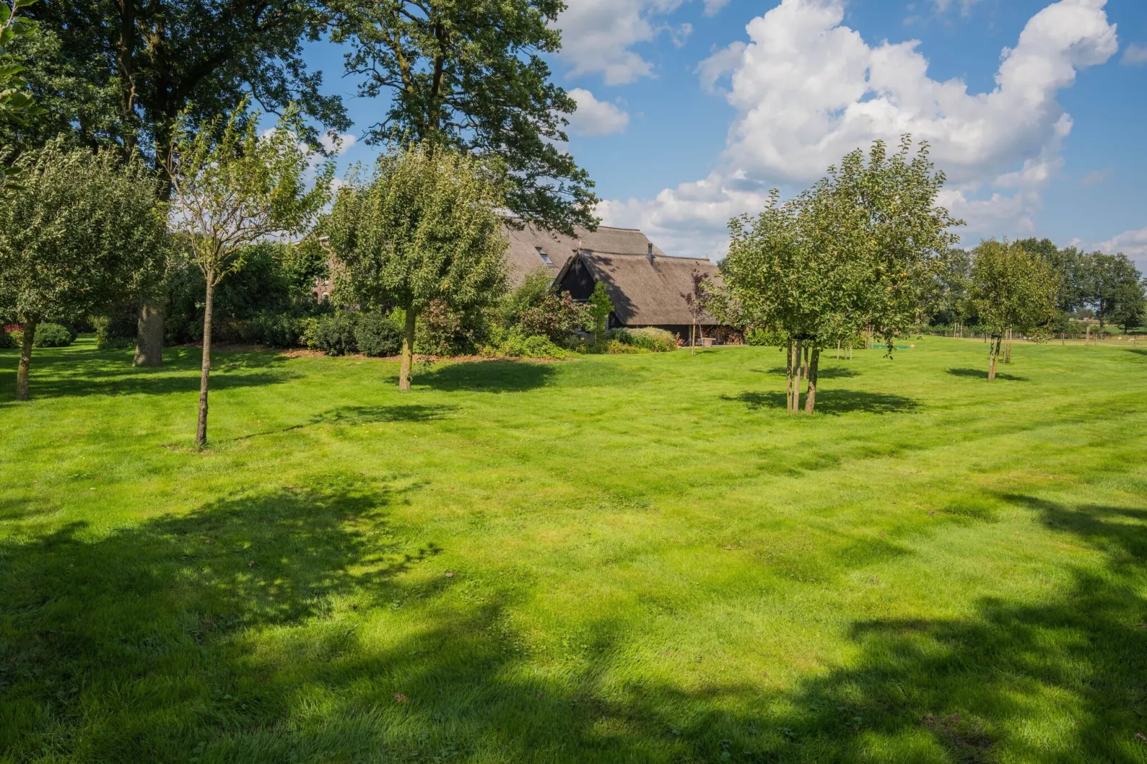 Boerderij Dwingelderveld-Tuinen zomer