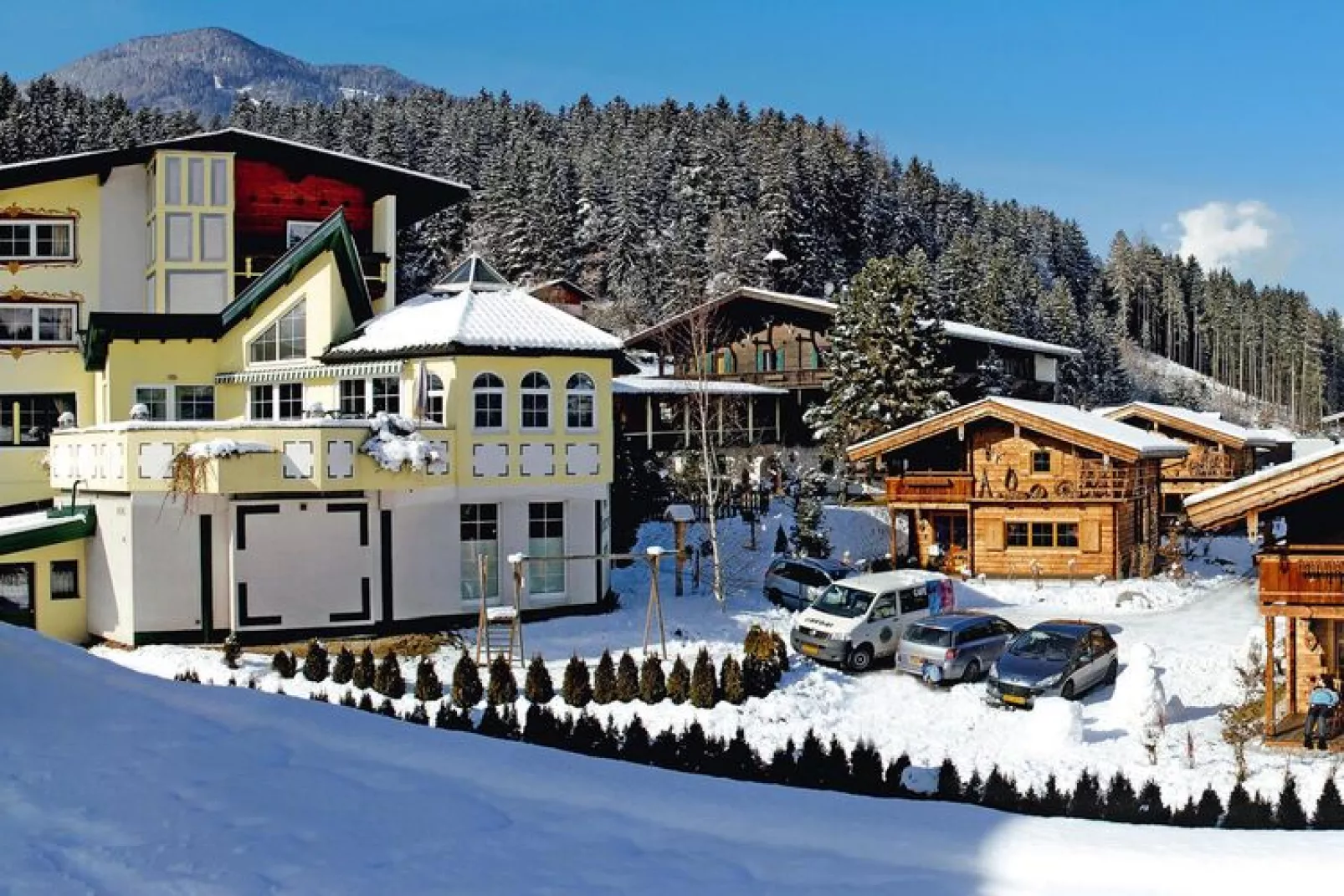 Apart Resort Fügenerhof  - 5-Raum Typ 6-Exterieur winter