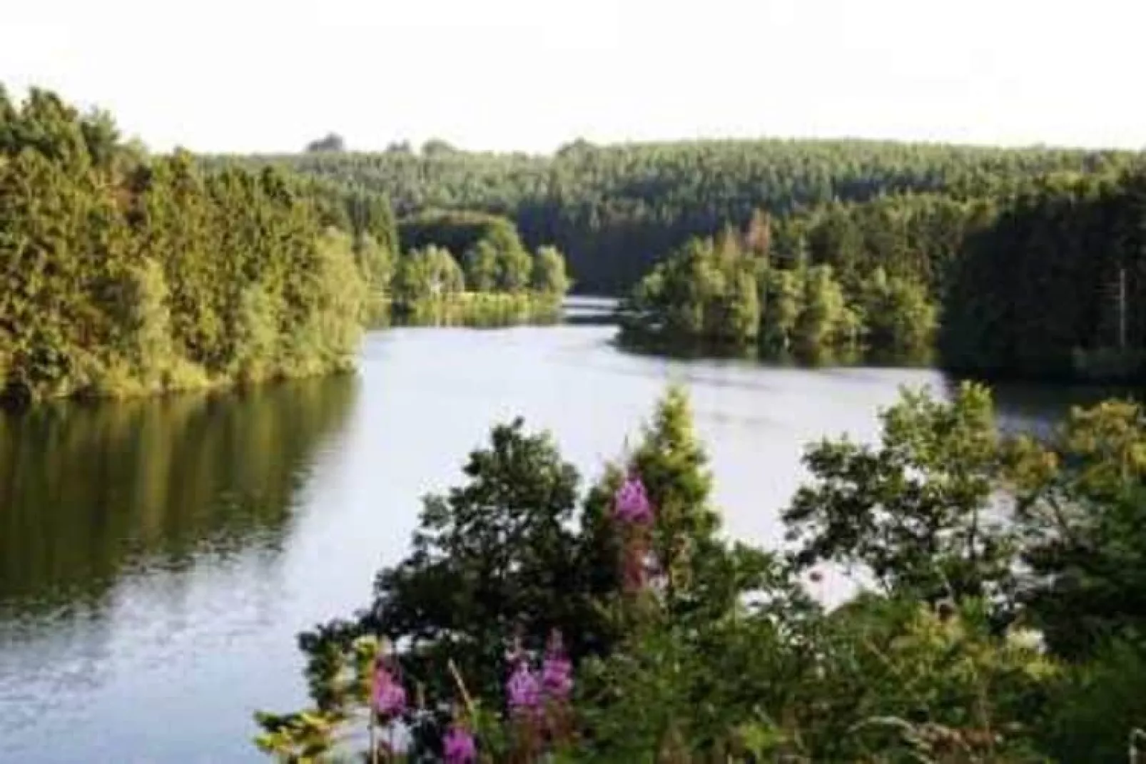 Green House-Gebieden zomer 5km