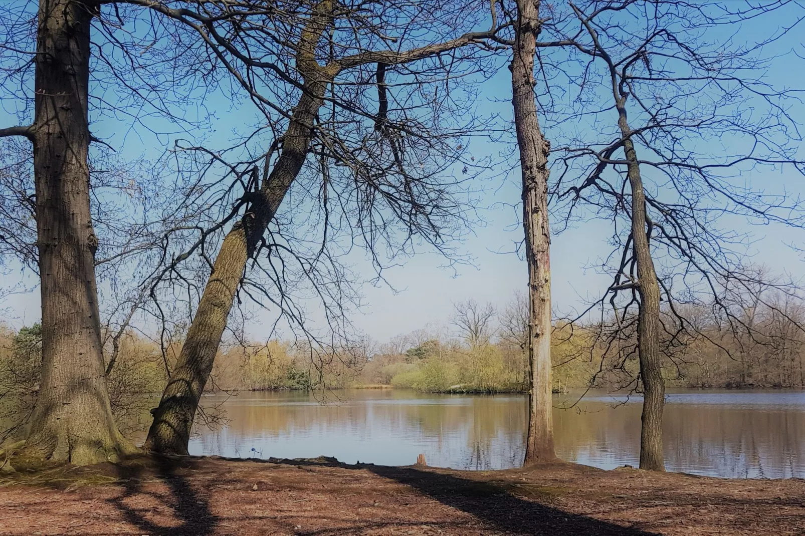 Parc de Kievit 15-Gebieden zomer 5km