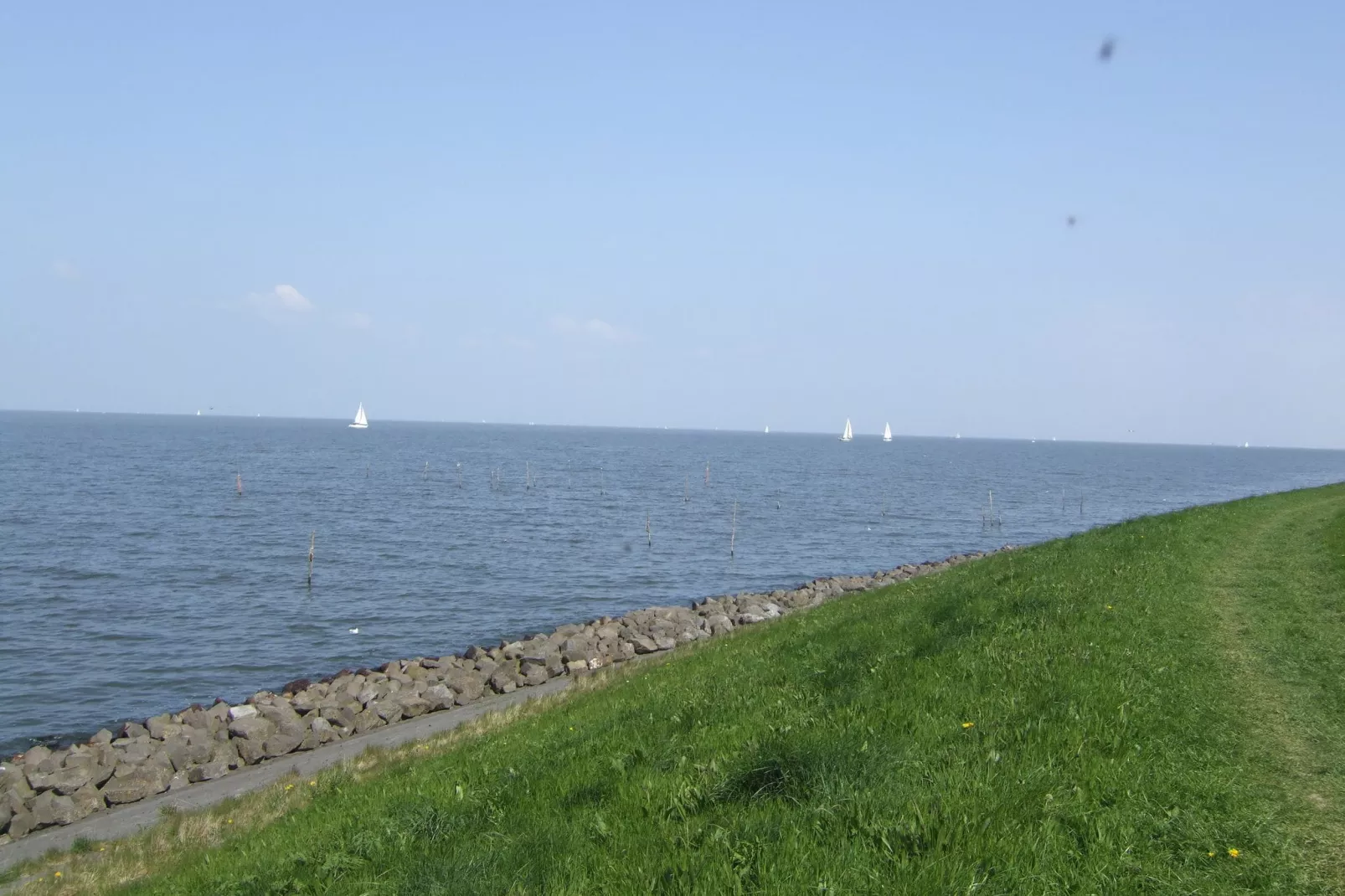 Villavakantiepark IJsselhof 4-Gebieden zomer 1km