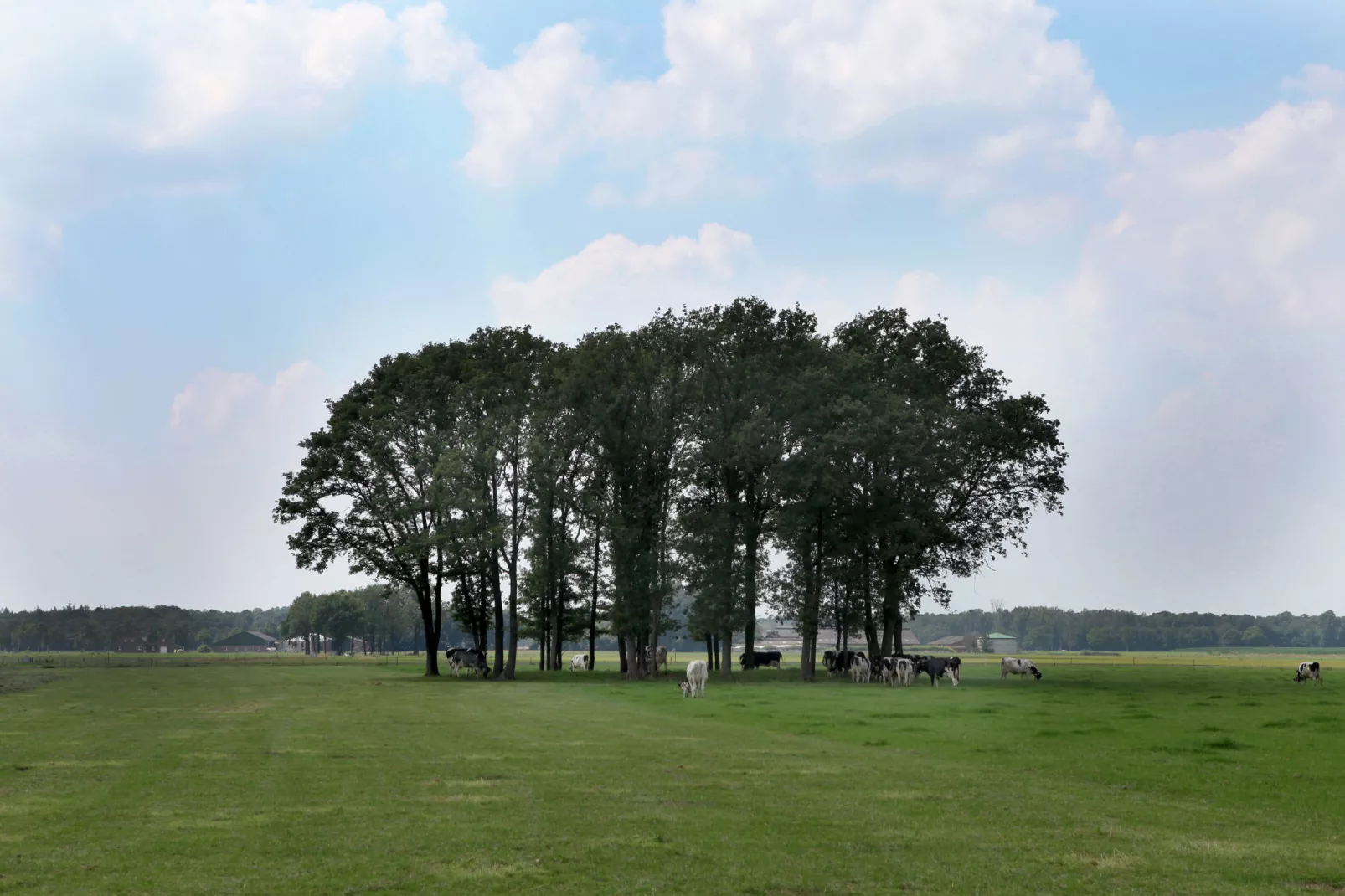 De Maaijen-Uitzicht zomer