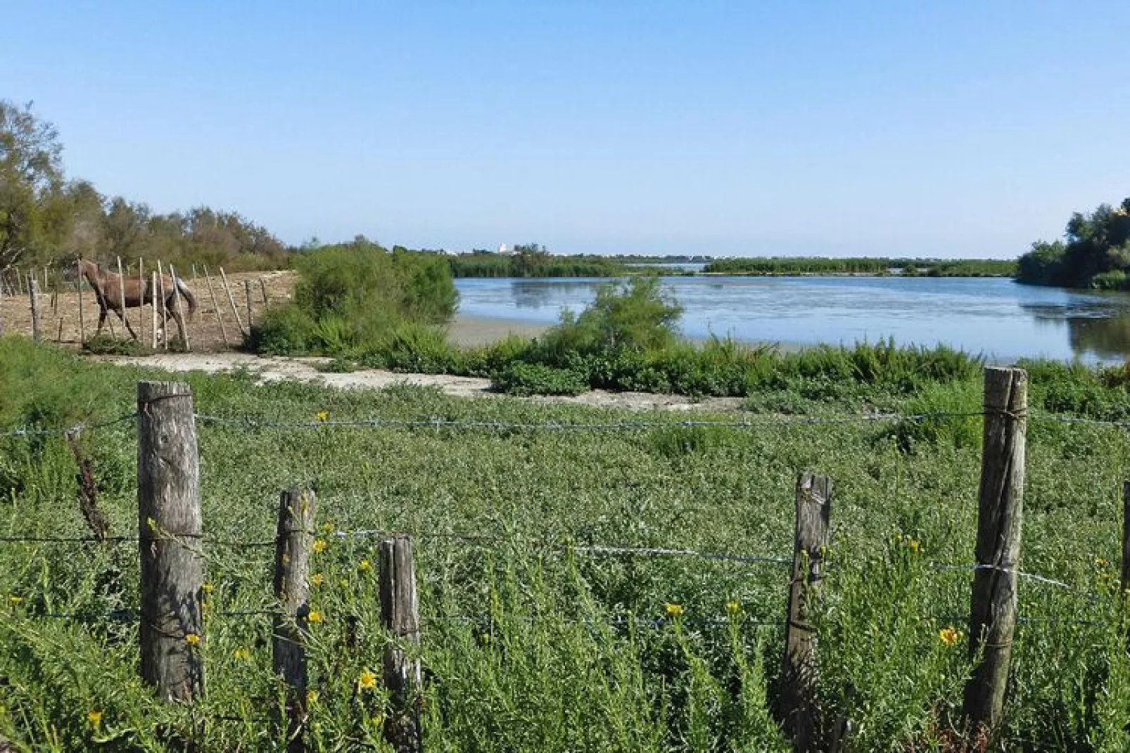 Doppelhaushälfte in Saintes-Maries-de-la-Mer-Gebieden zomer 1km