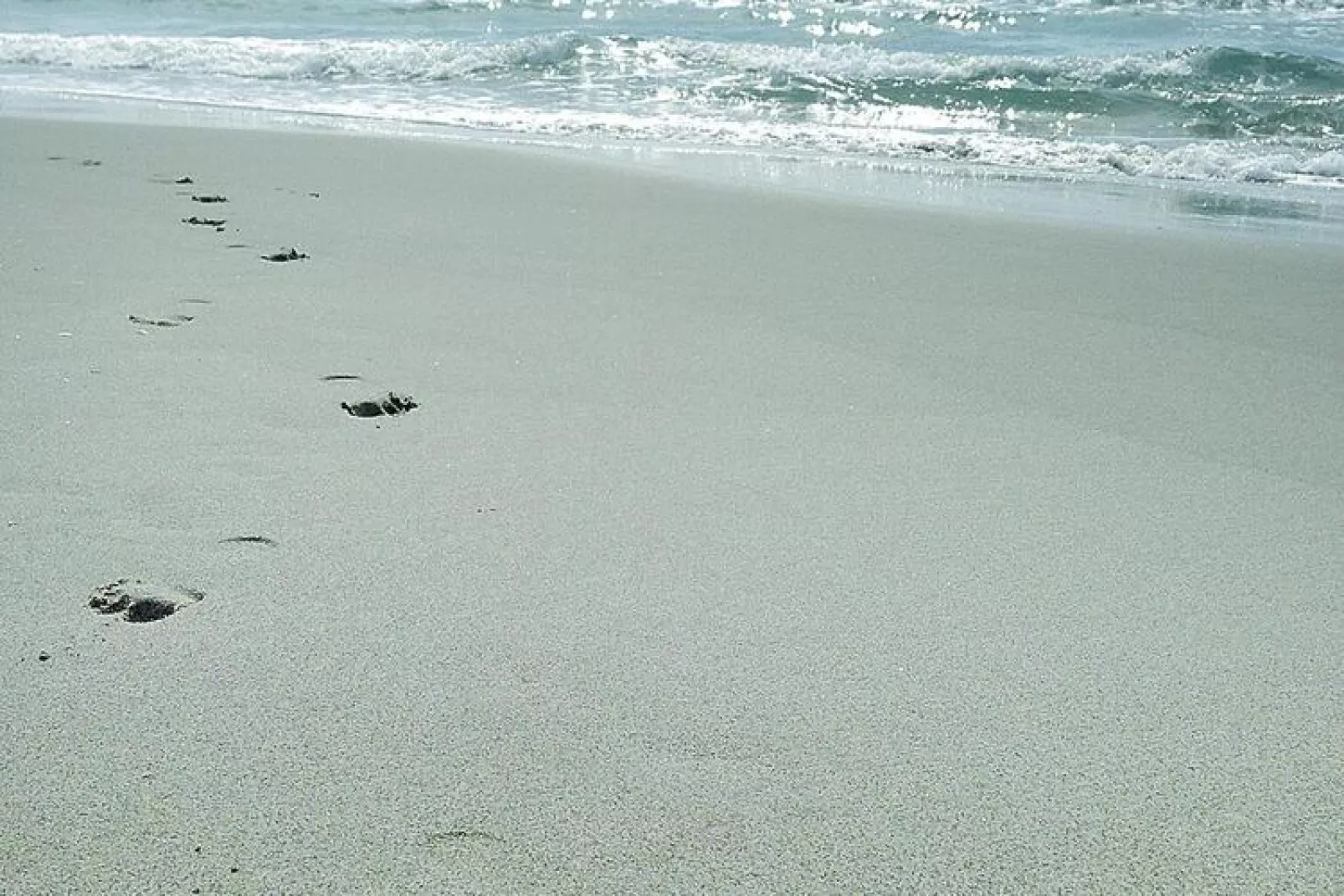 Doppelhaushälfte in Saintes-Maries-de-la-Mer-Gebieden zomer 5km