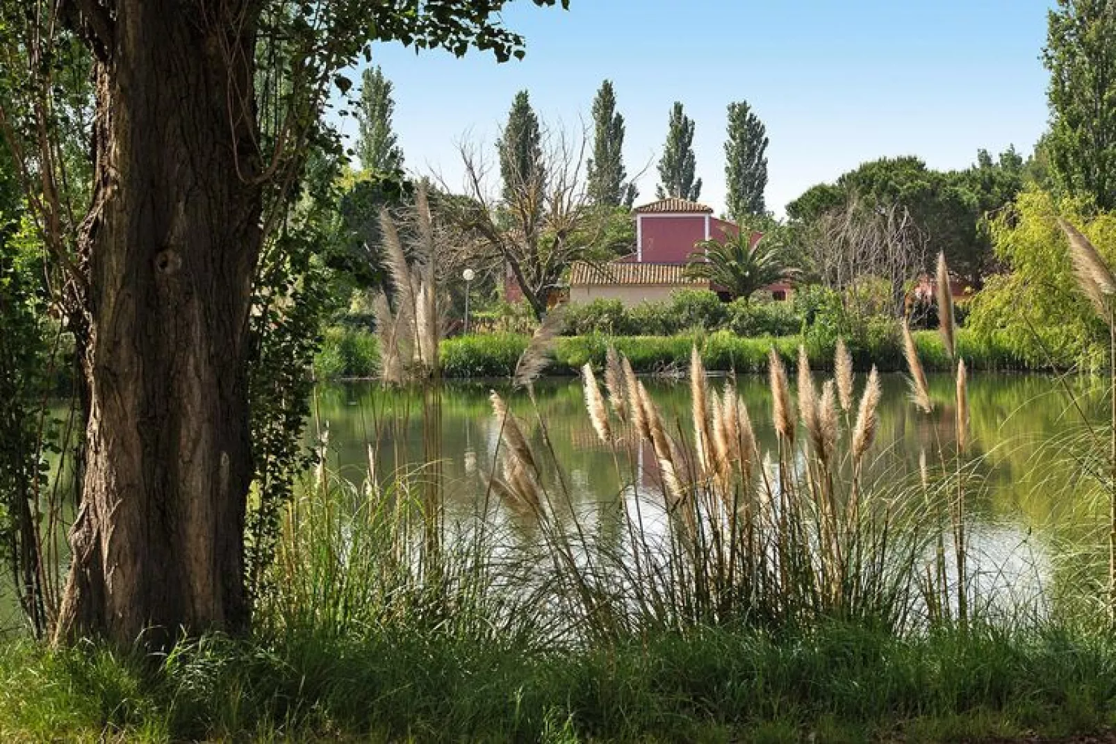 Residence Les Hameaux de Camargue Arles // T2  4 pers-Tuinen zomer