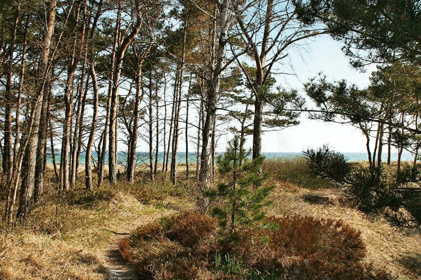 HYTTAN
