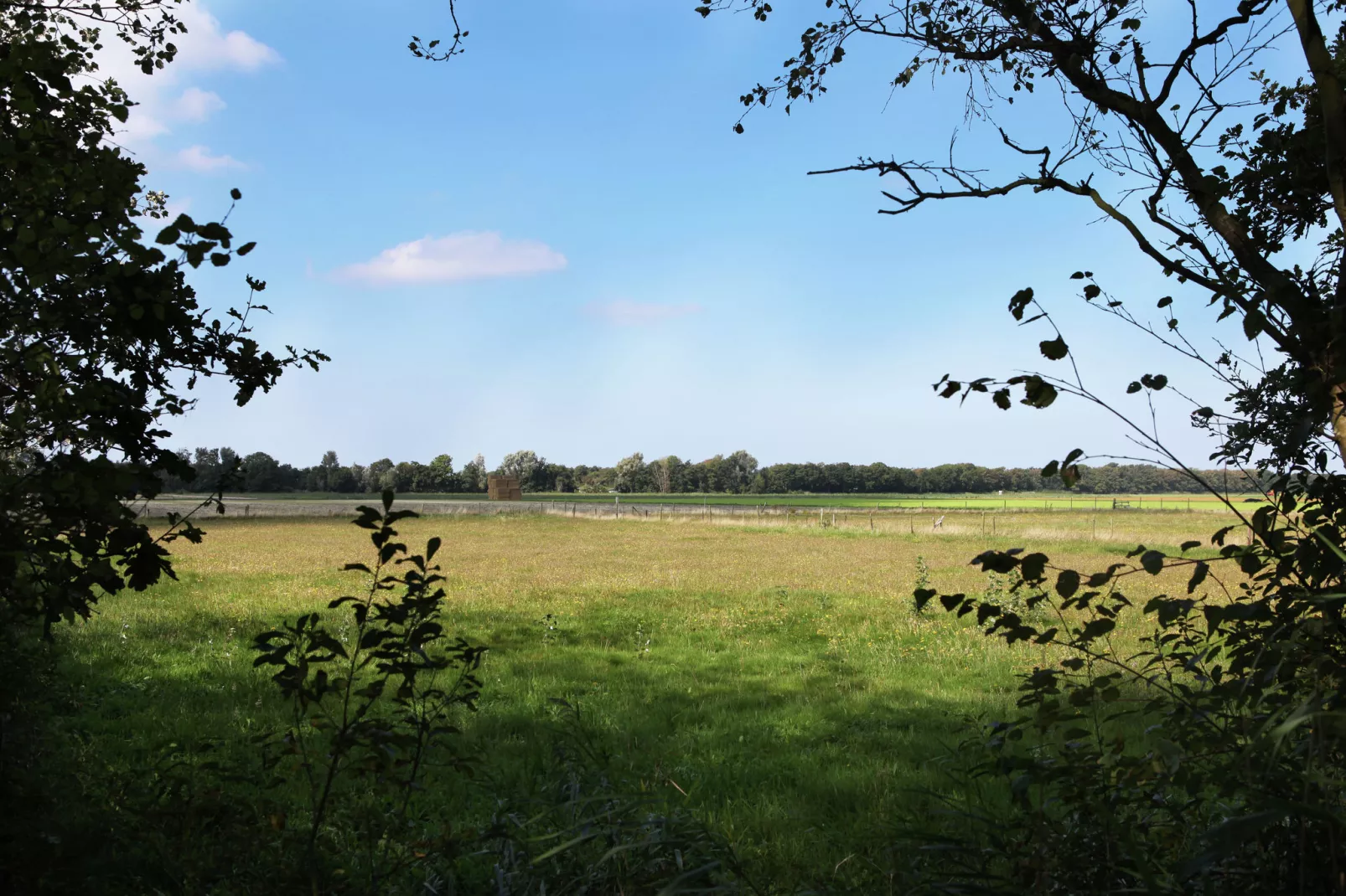 Wildrijk-Gebieden zomer 1km