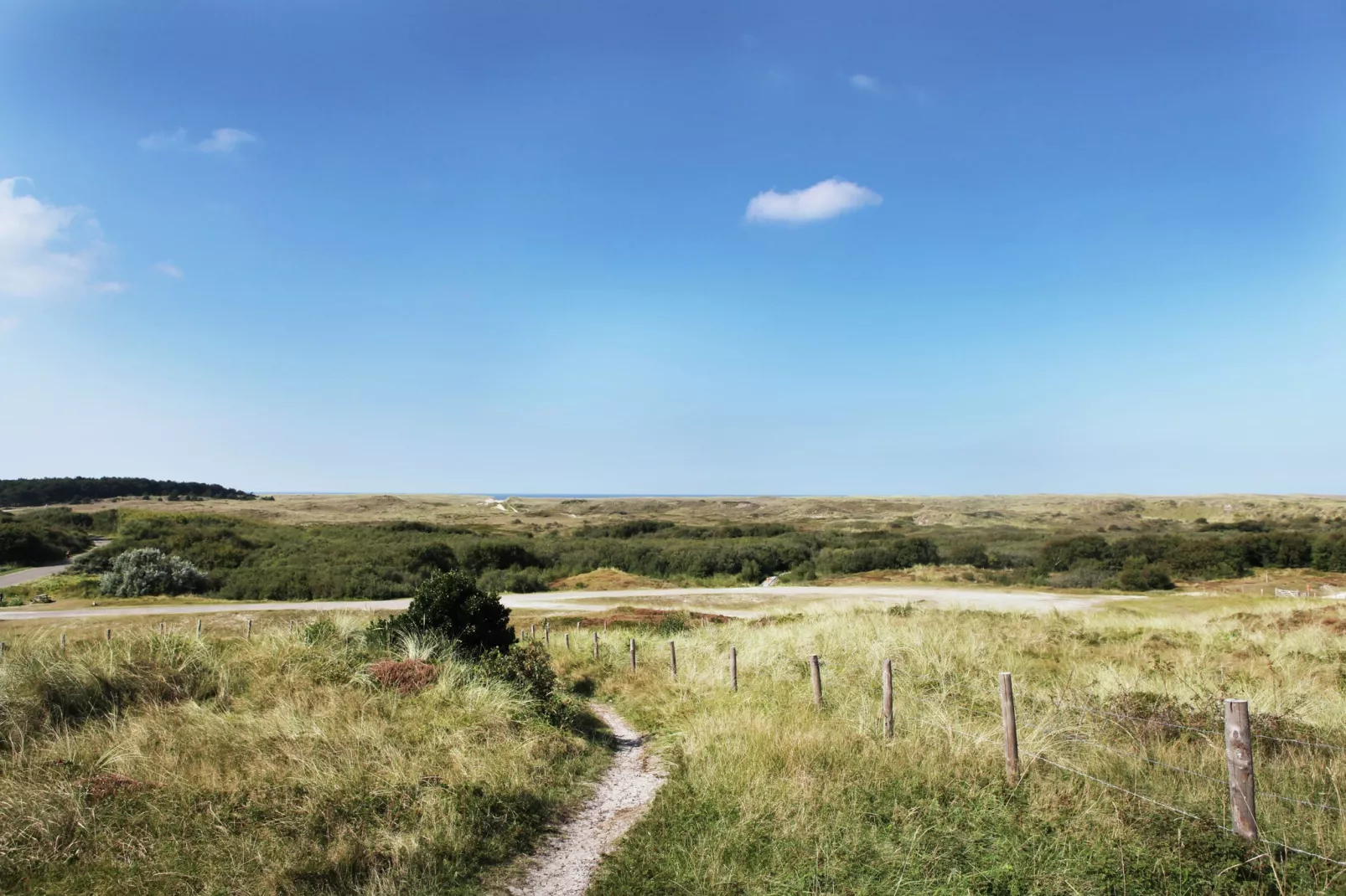 Wildrijk-Gebieden zomer 5km