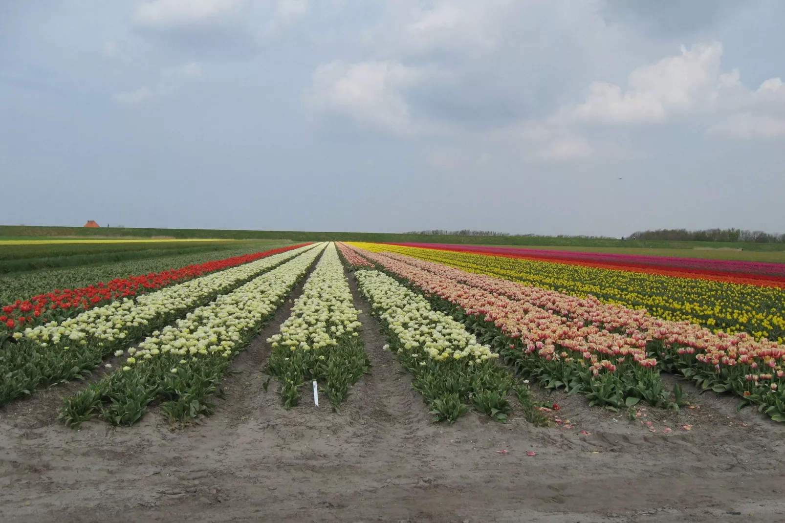 Vakantiehuis De Dars-Uitzicht zomer