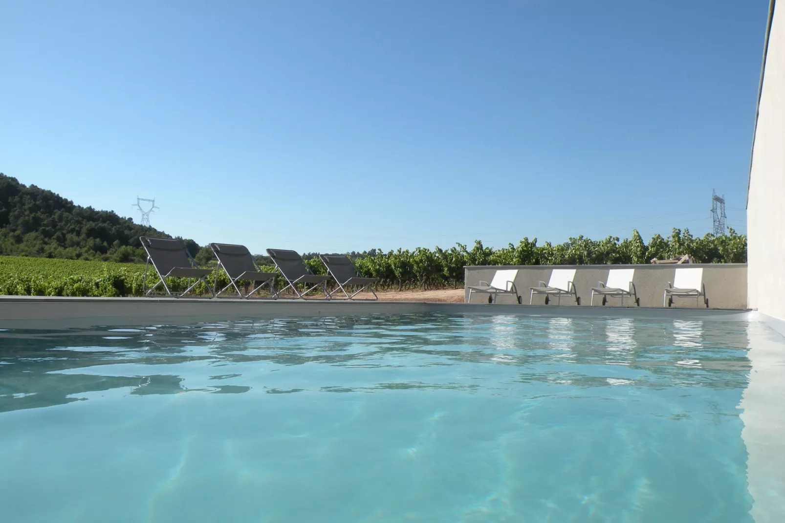 Prachtige gîte gelegen in een 18e eeuwse, authentieke hoeve met wijngaard-Zwembad
