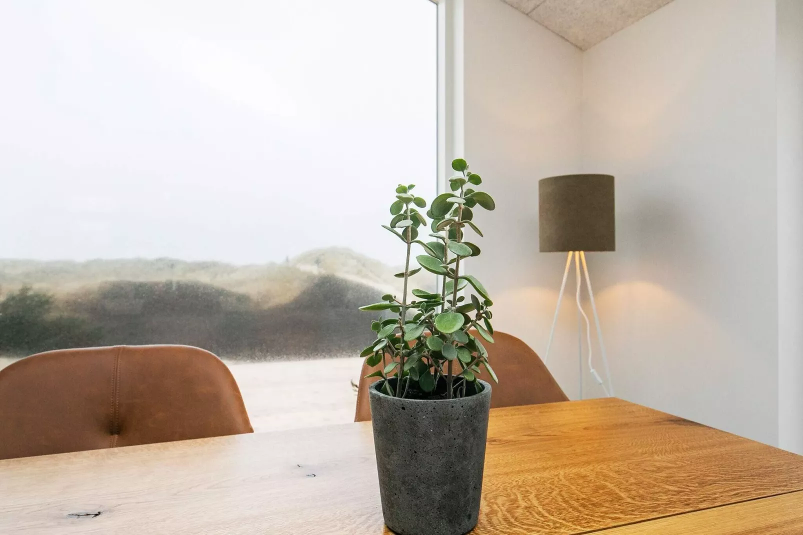 10 persoons vakantie huis in Løkken-Binnen