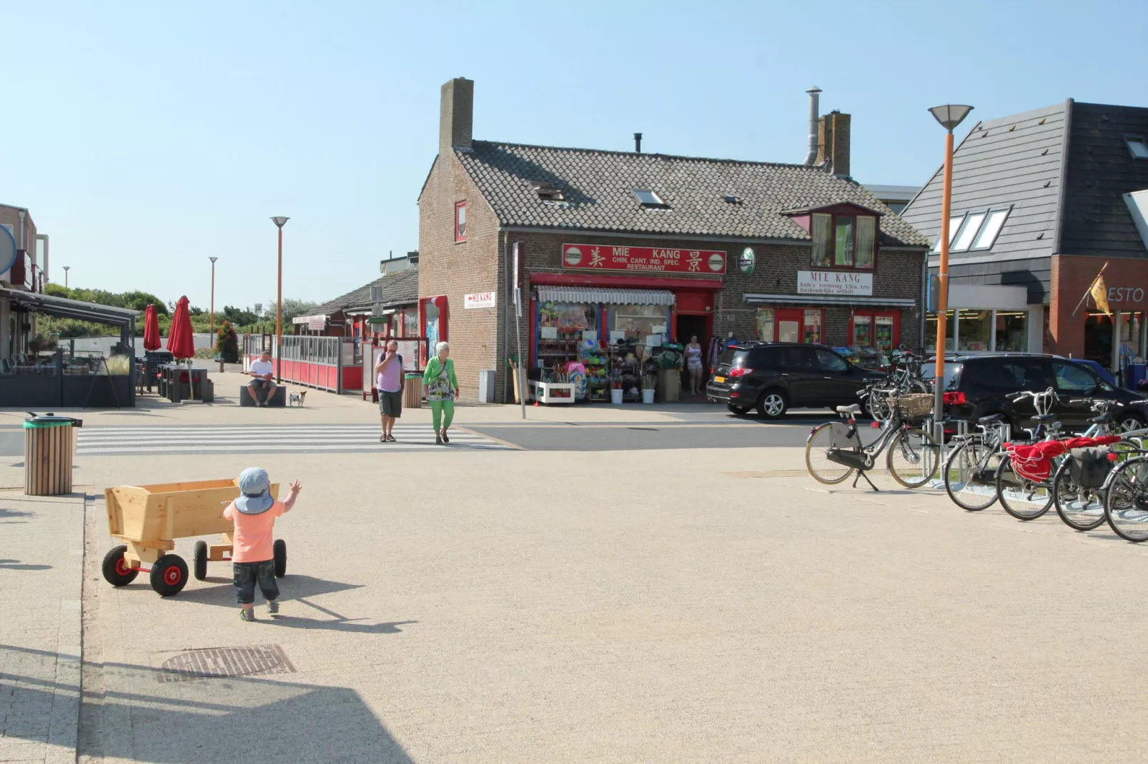 Luxe Lodge aan de Duinen-Gebieden zomer 5km