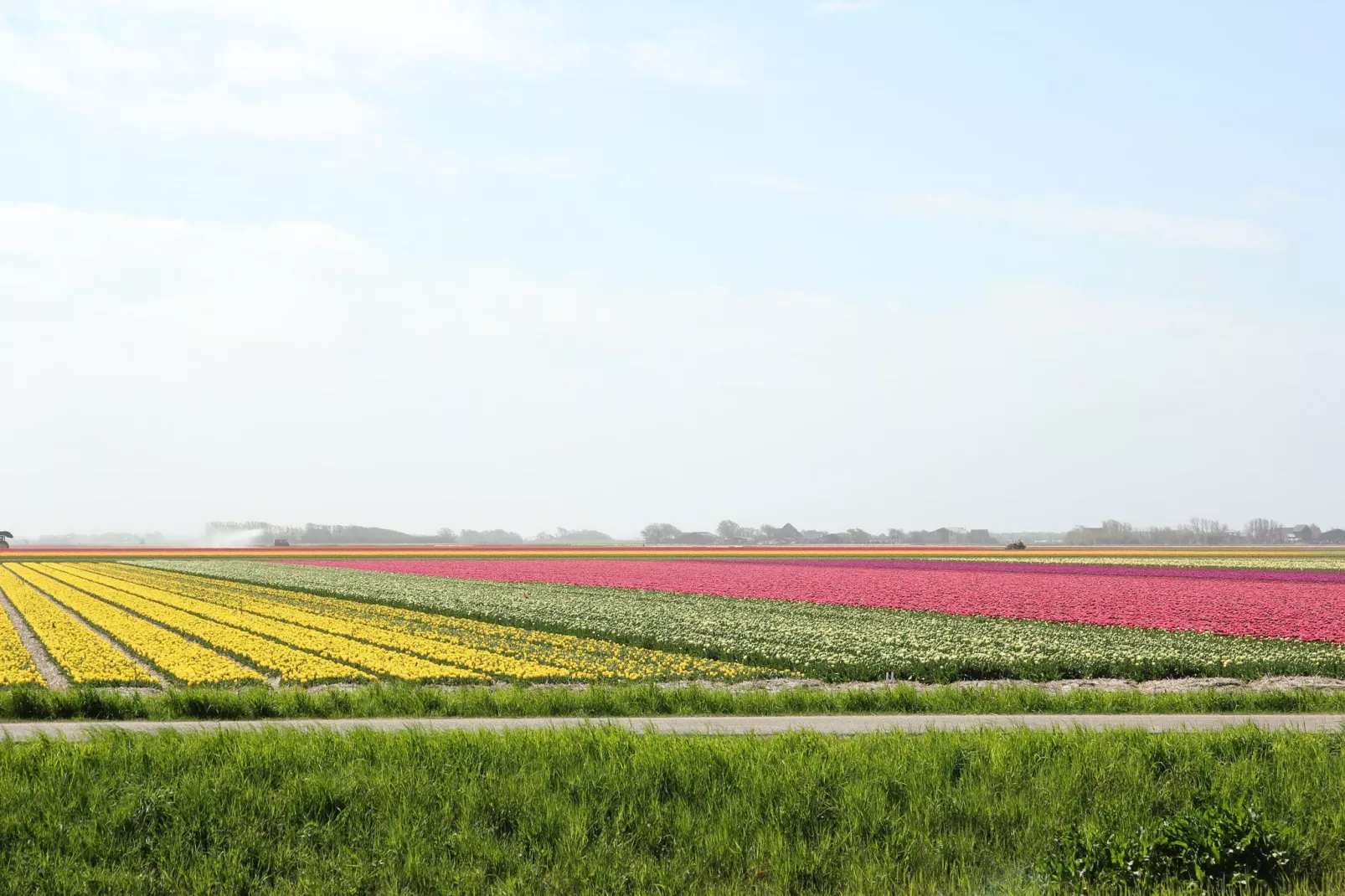 Luxe Lodge aan de Duinen-Gebieden zomer 20km