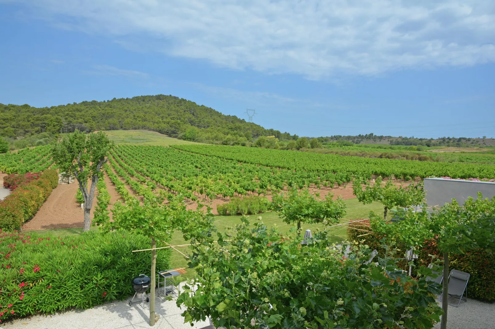 Gîtes Grenache en Syrah samen 10 personen-Uitzicht zomer