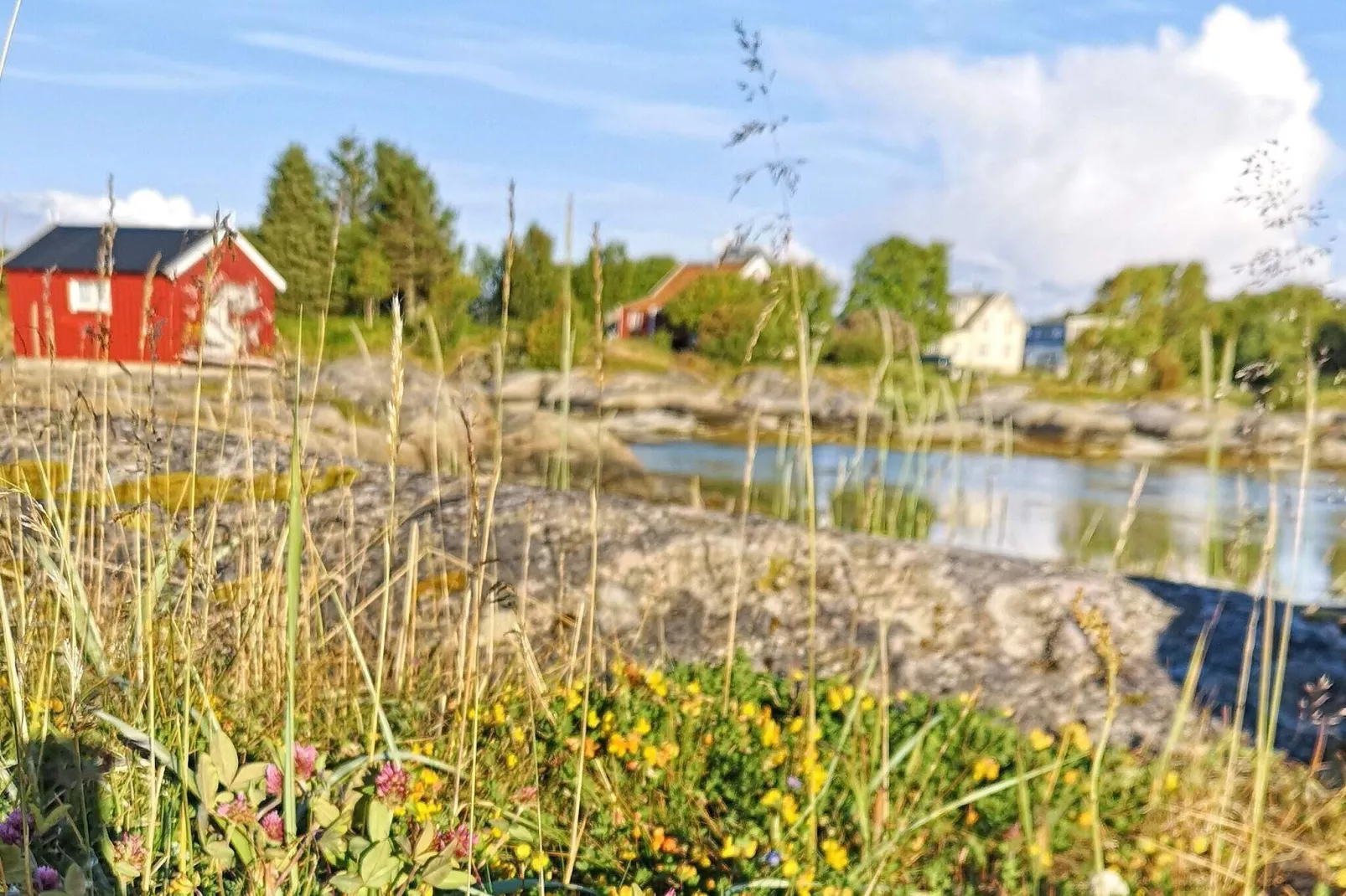 5 persoons vakantie huis in Tranøy-Niet-getagd
