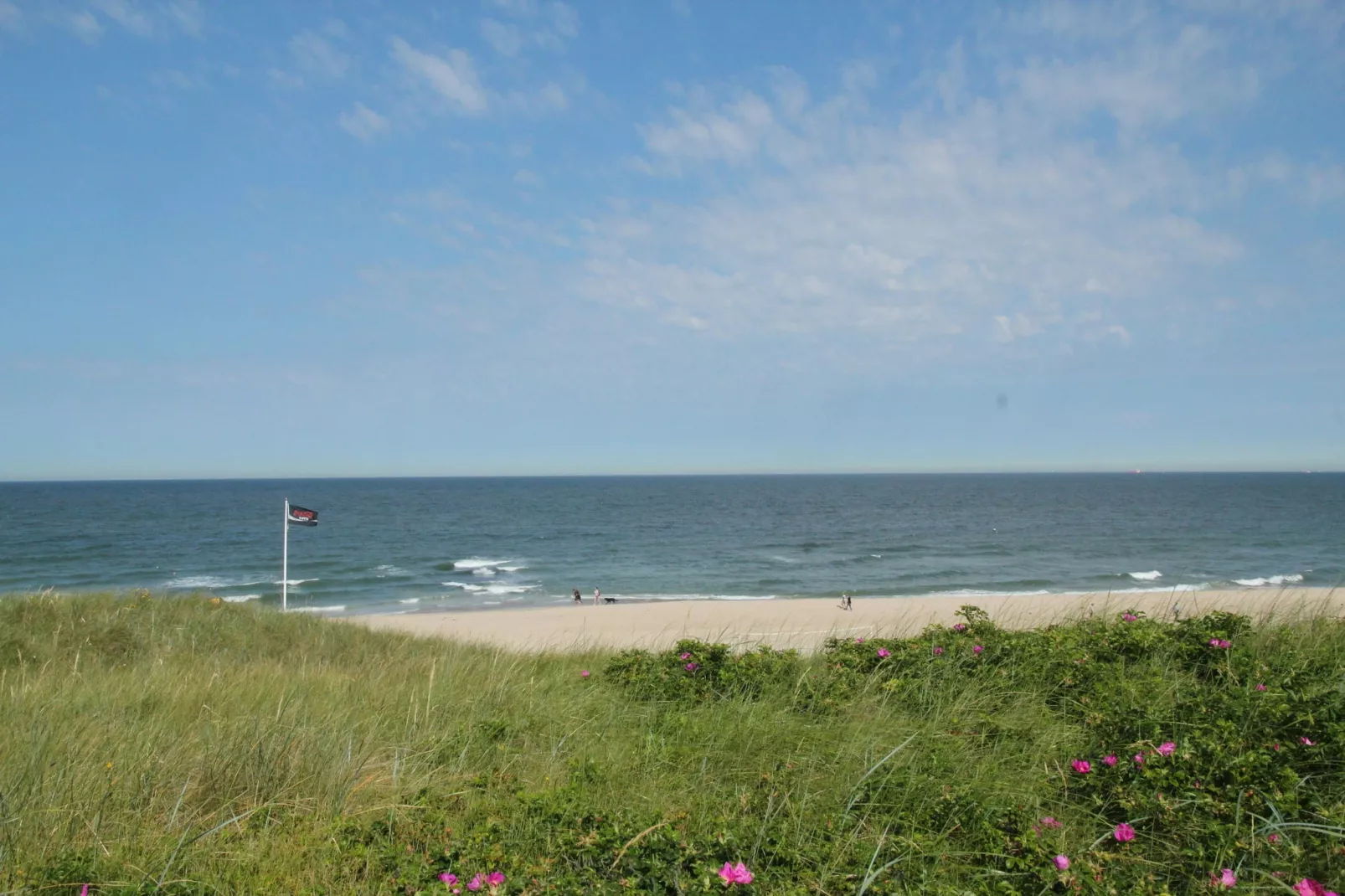 Quality Lodge aan de Duinen-Gebieden zomer 5km