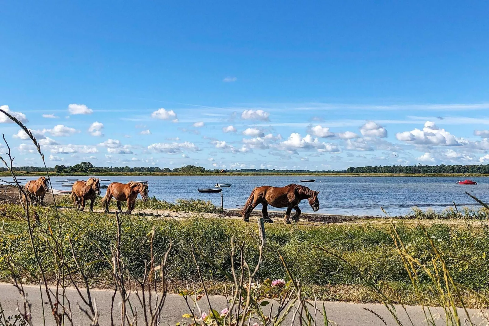 4 persoons vakantie huis in Bogense-By Traum-Waterzicht