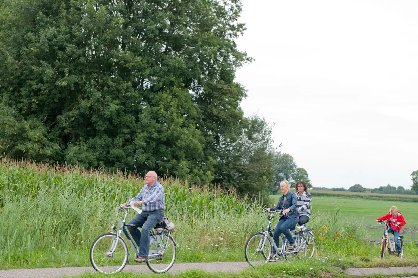 Park De Peel 2-Gebieden zomer 1km