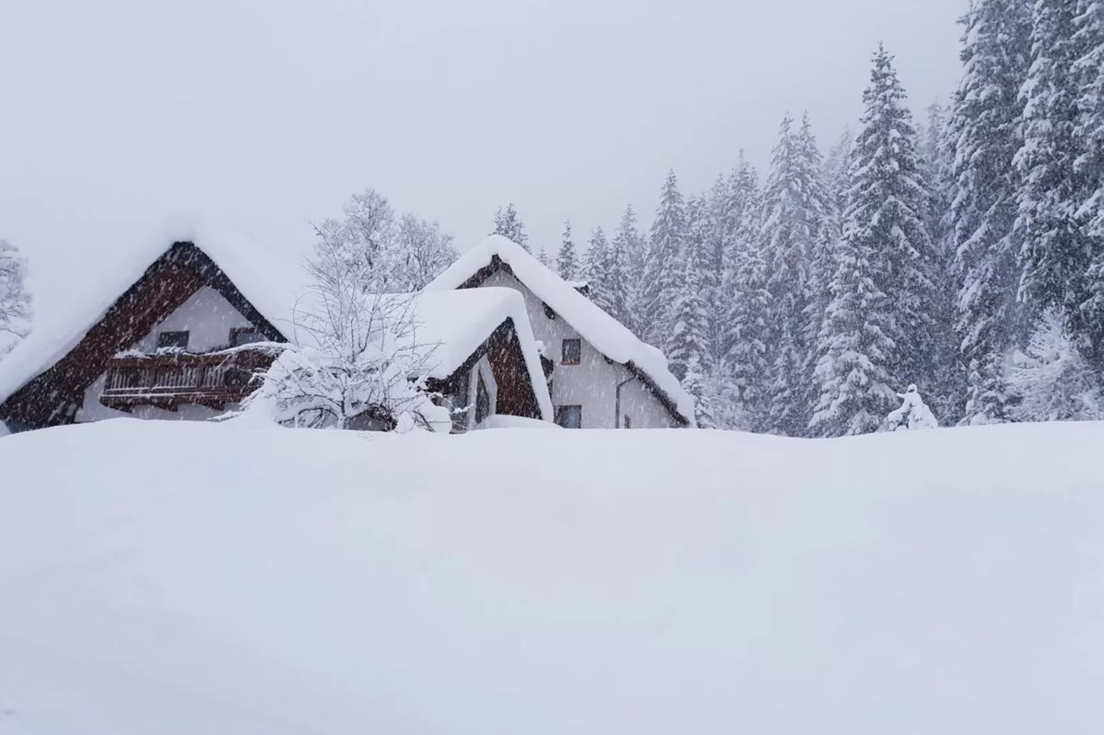 Ferienhaus Pöttler-Exterieur winter