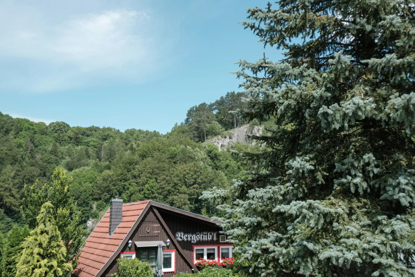 Bergfeld-Uitzicht zomer