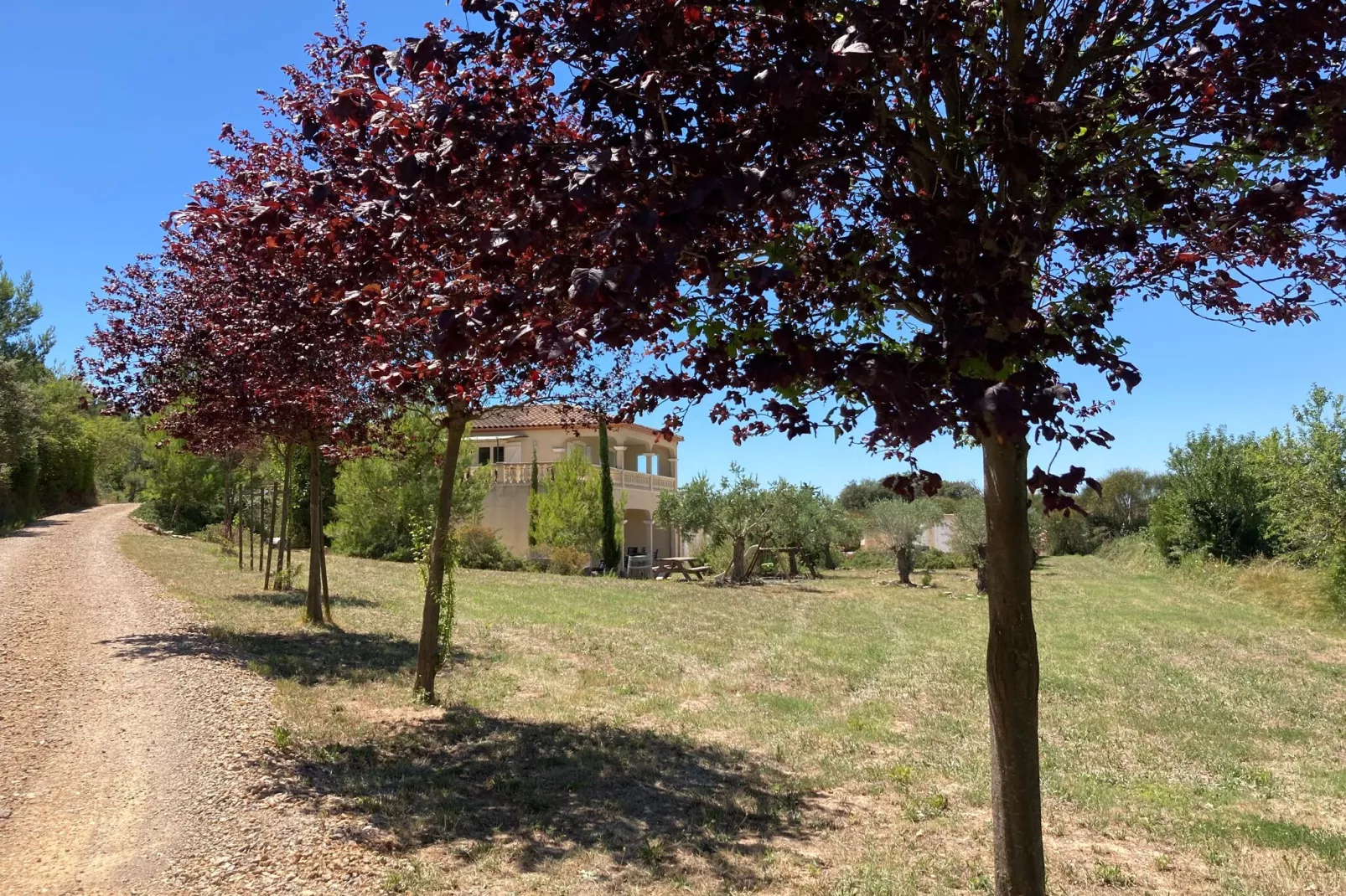 Chateau Henry-Gebieden zomer 1km